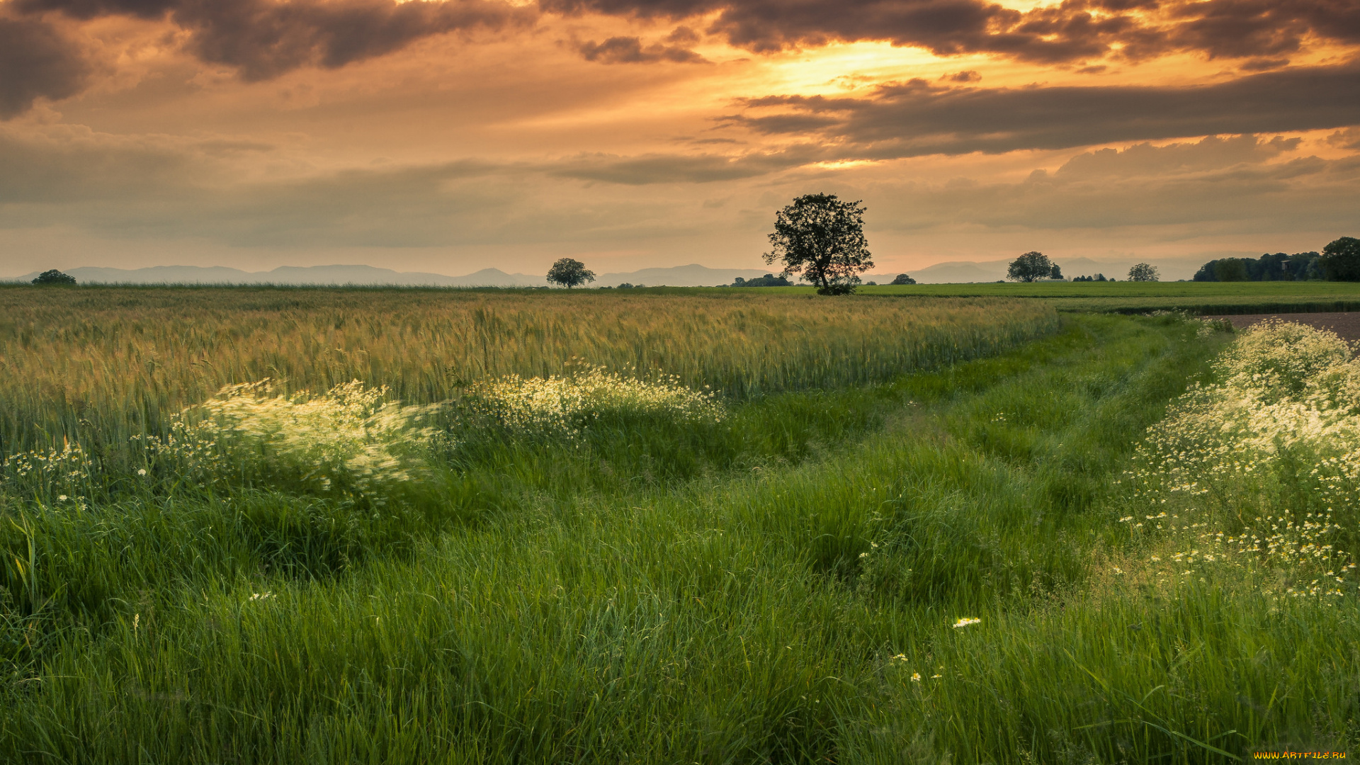 природа, пейзажи, простор