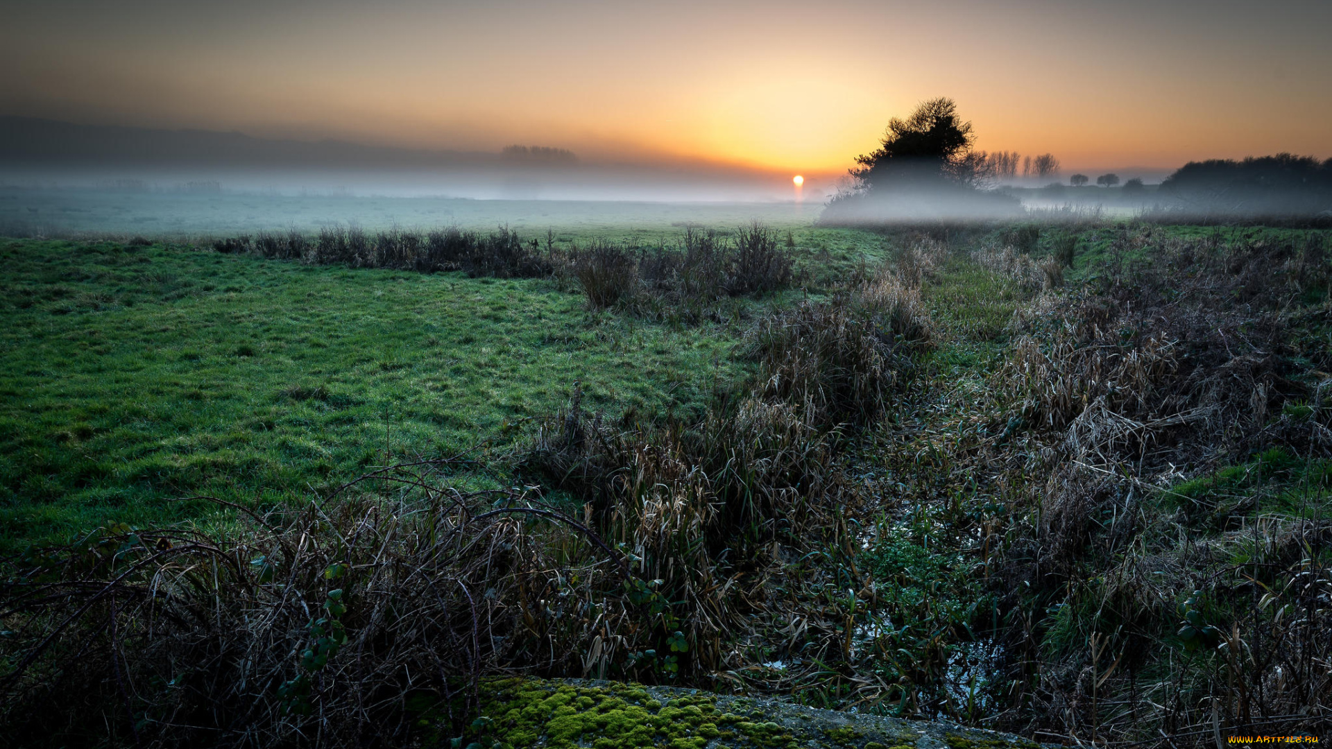 природа, пейзажи, закат, пейзаж, туман, поле
