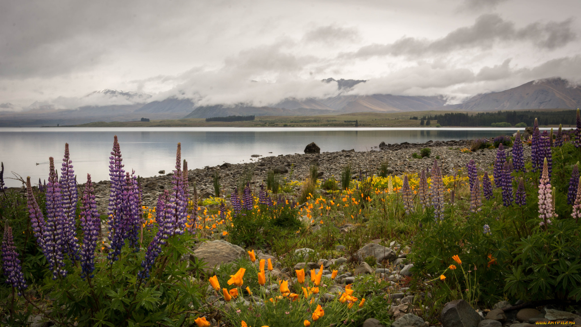 природа, побережье, море, берег