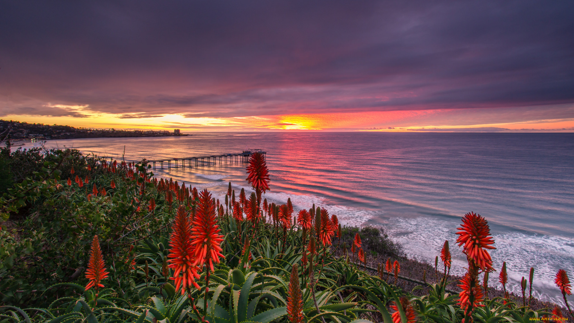 природа, побережье, море, берег