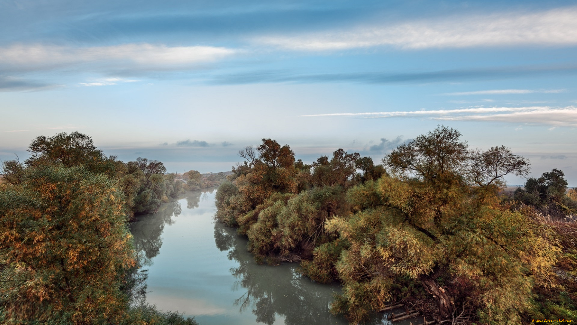 природа, реки, озера, река, владимир, тузлай, кубань, деревья, казачий, ерик