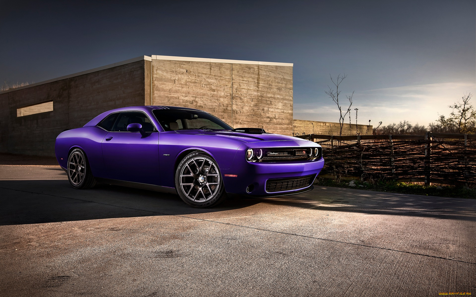 dodge, challenger, 2016, автомобили, dodge, challenger, 2016