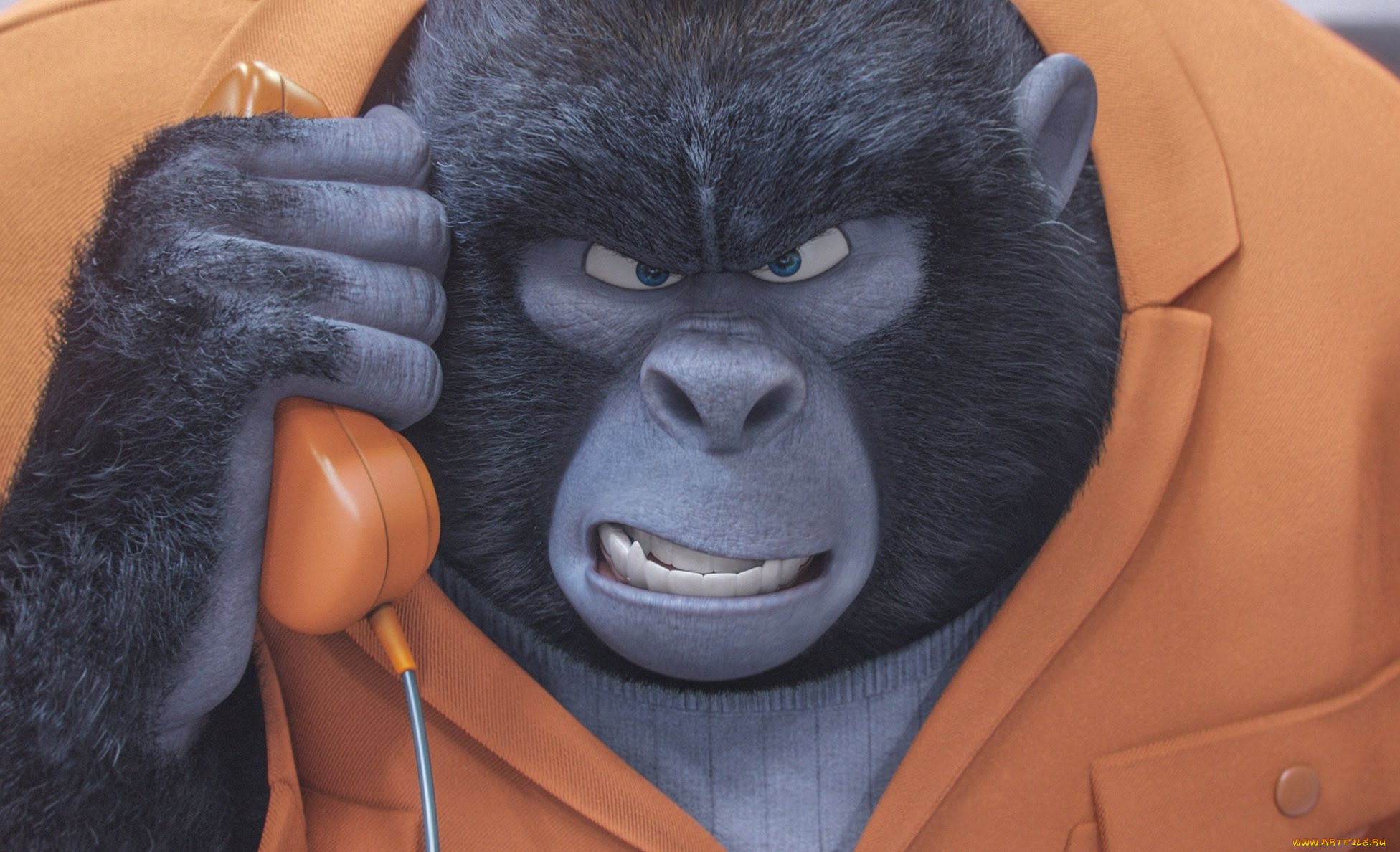 мультфильмы, sing, персонаж