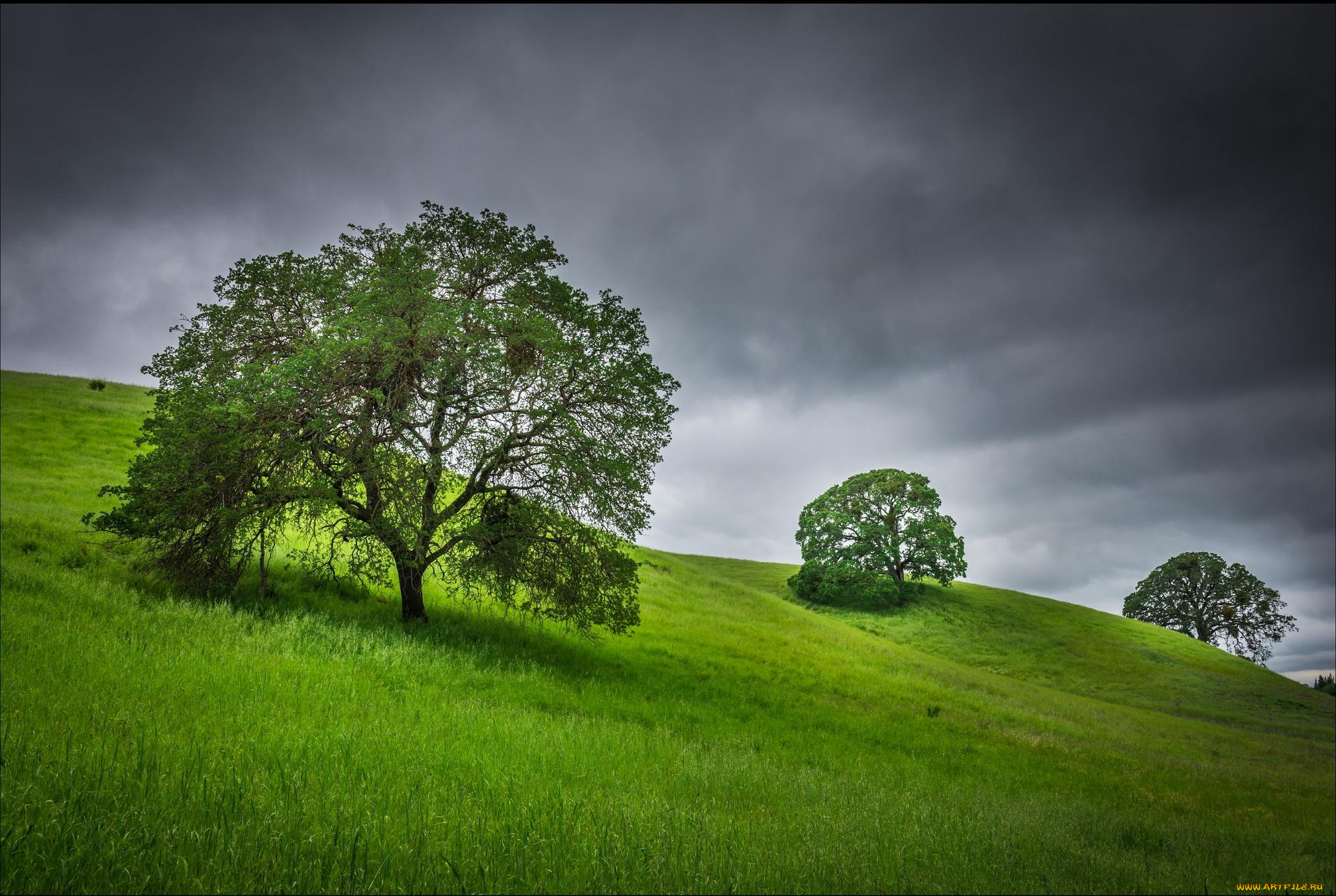 природа, пейзажи, тучи, холмы, деревья, пейзаж
