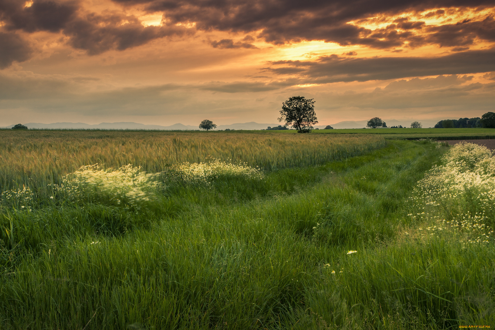 природа, пейзажи, простор