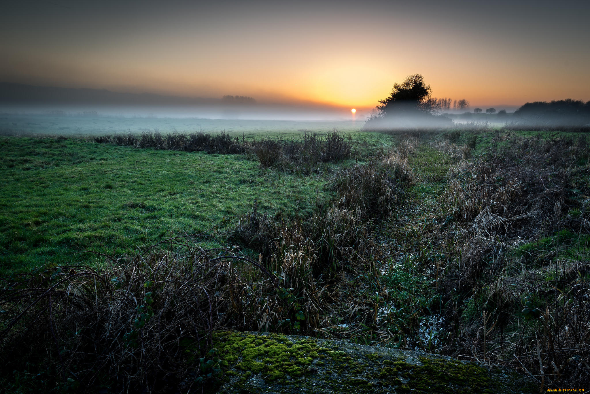 природа, пейзажи, закат, пейзаж, туман, поле