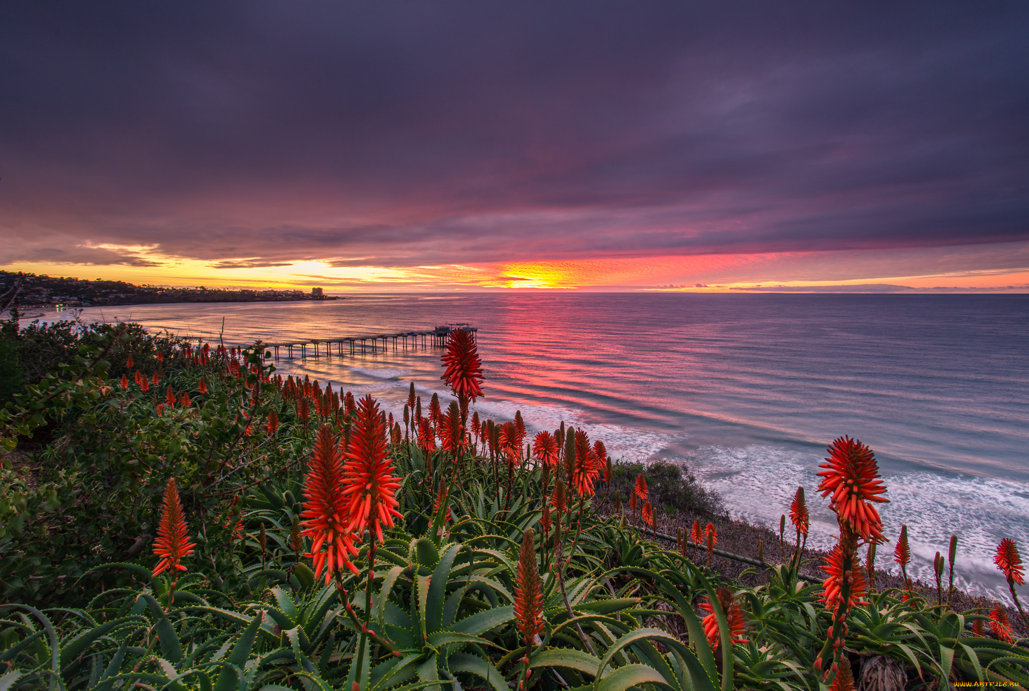 природа, побережье, море, берег