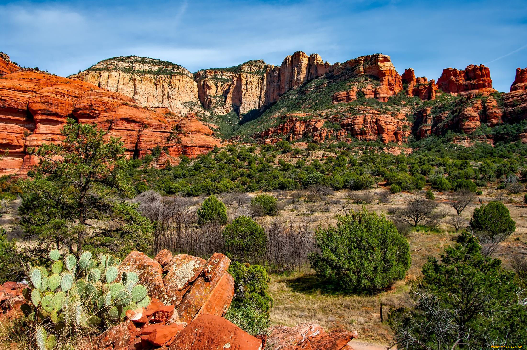 природа, горы, растительность, кусты