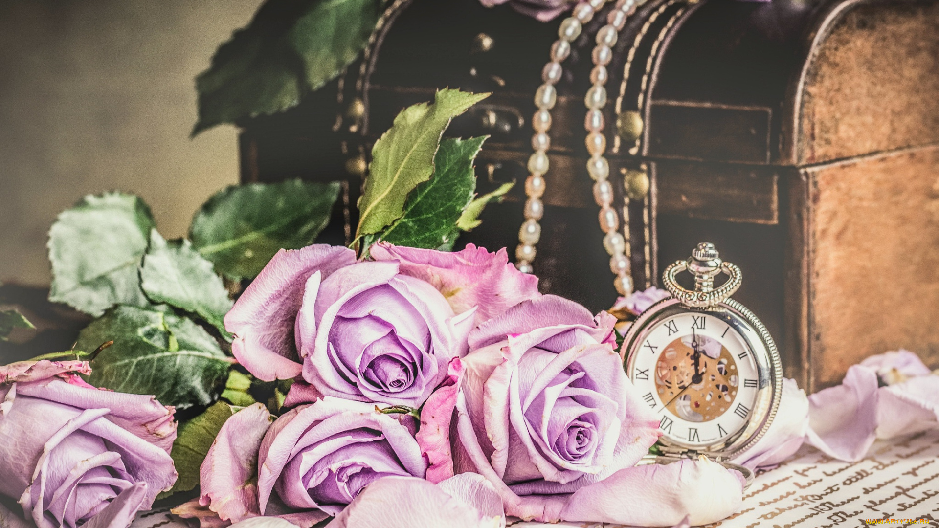 цветы, розы