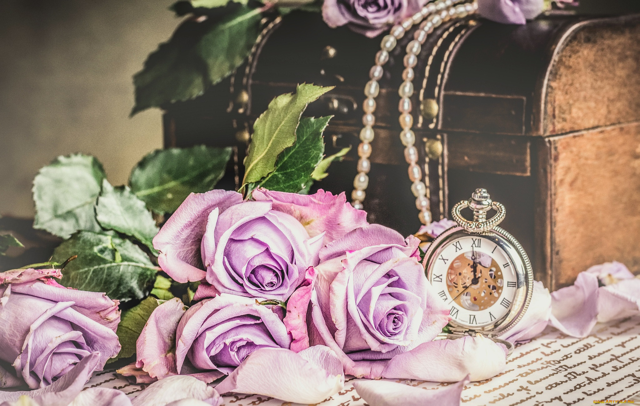 цветы, розы