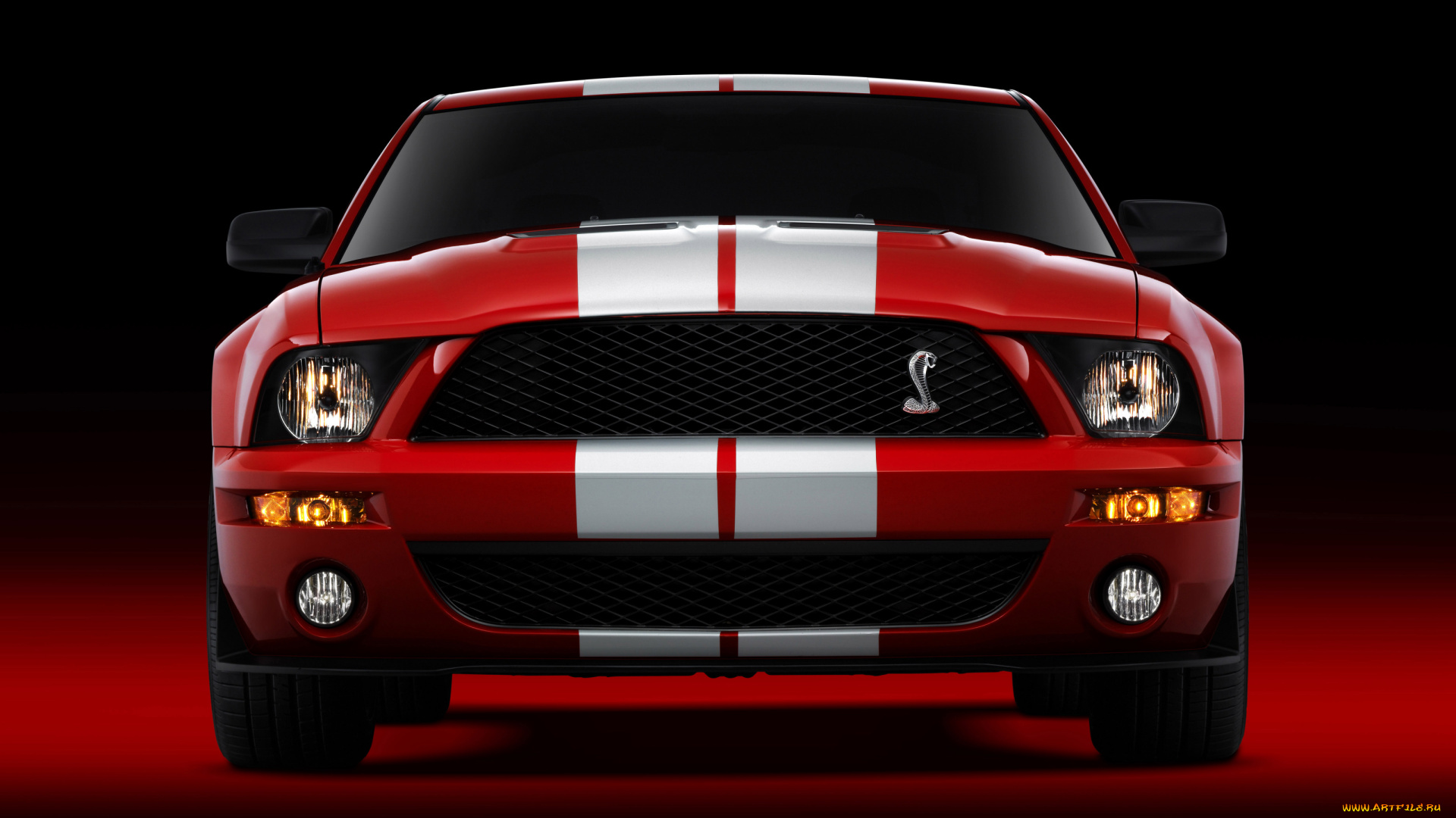 автомобили, mustang, shelby