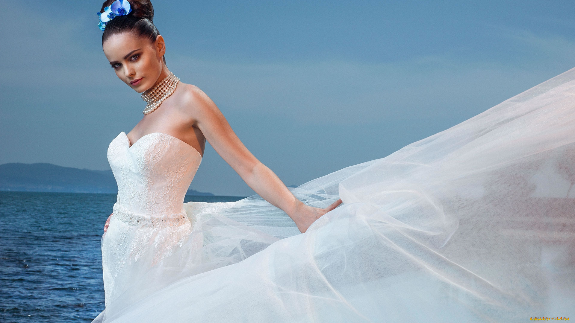 cosima, coppola, девушки, cosima, coppola