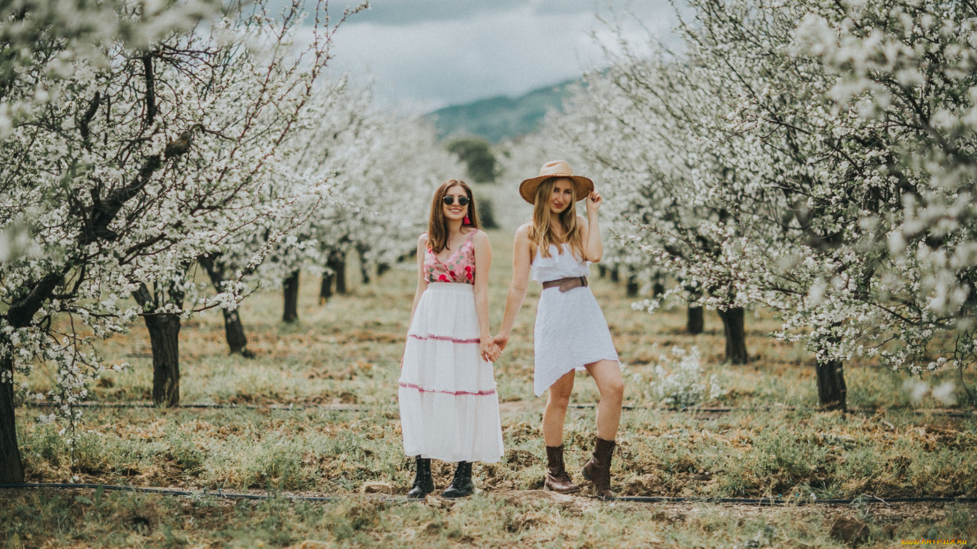 девушки, -, группа, девушек, весна, цветущий, сад, подружки