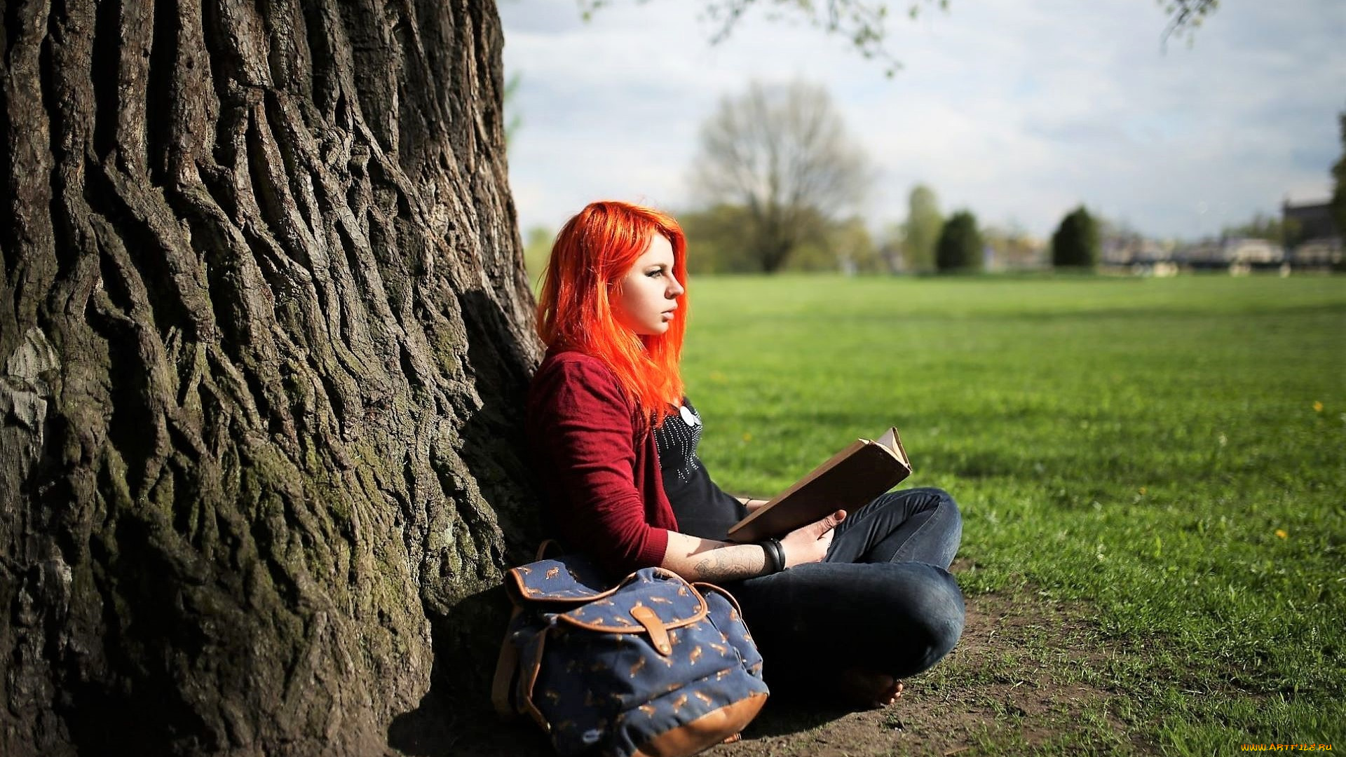 девушки, -, рыжеволосые, и, разноцветные, рыжая, дерево, книга, рюкзак, поле