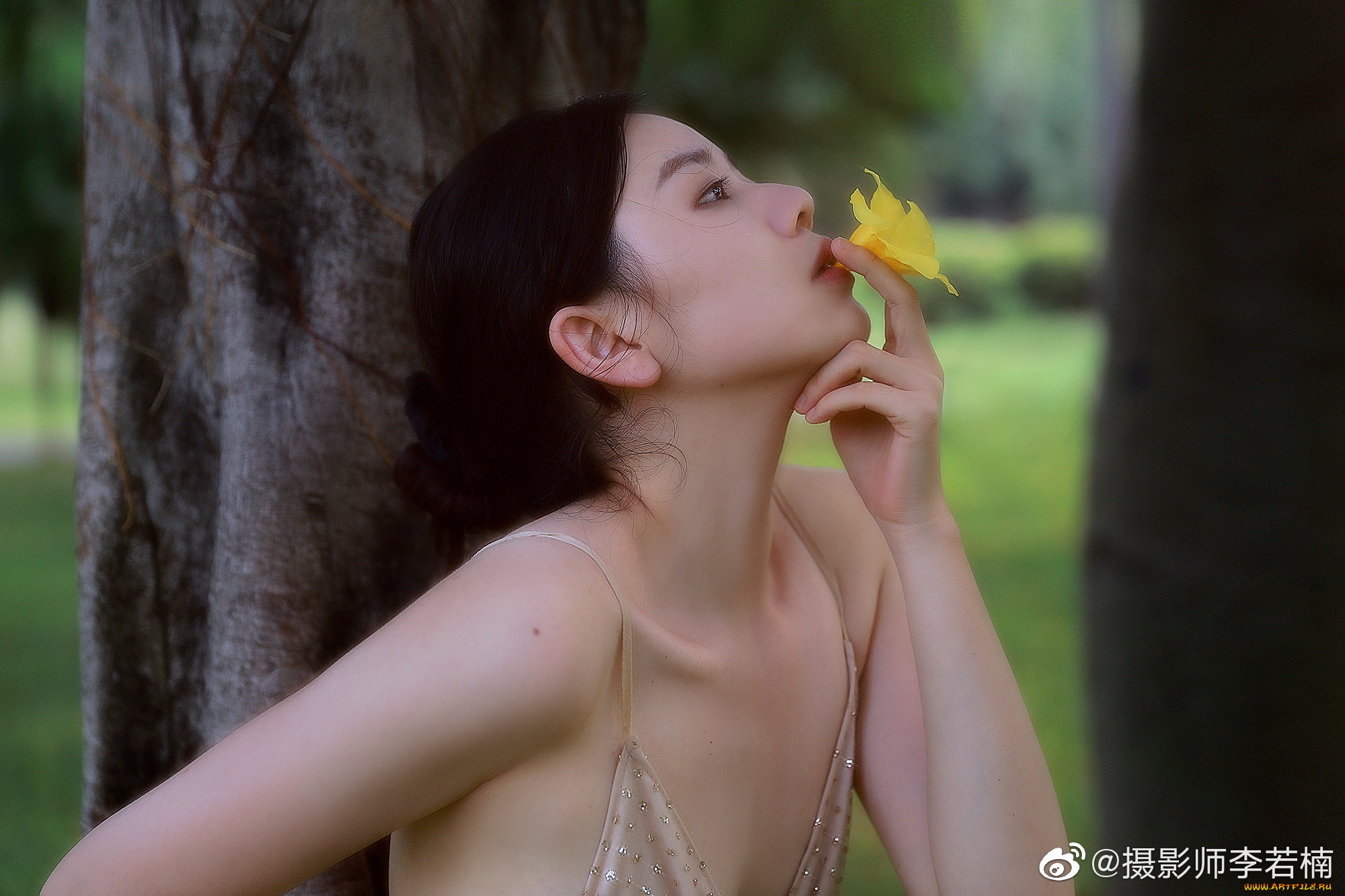 девушки, -, азиатки, цветок, деревья