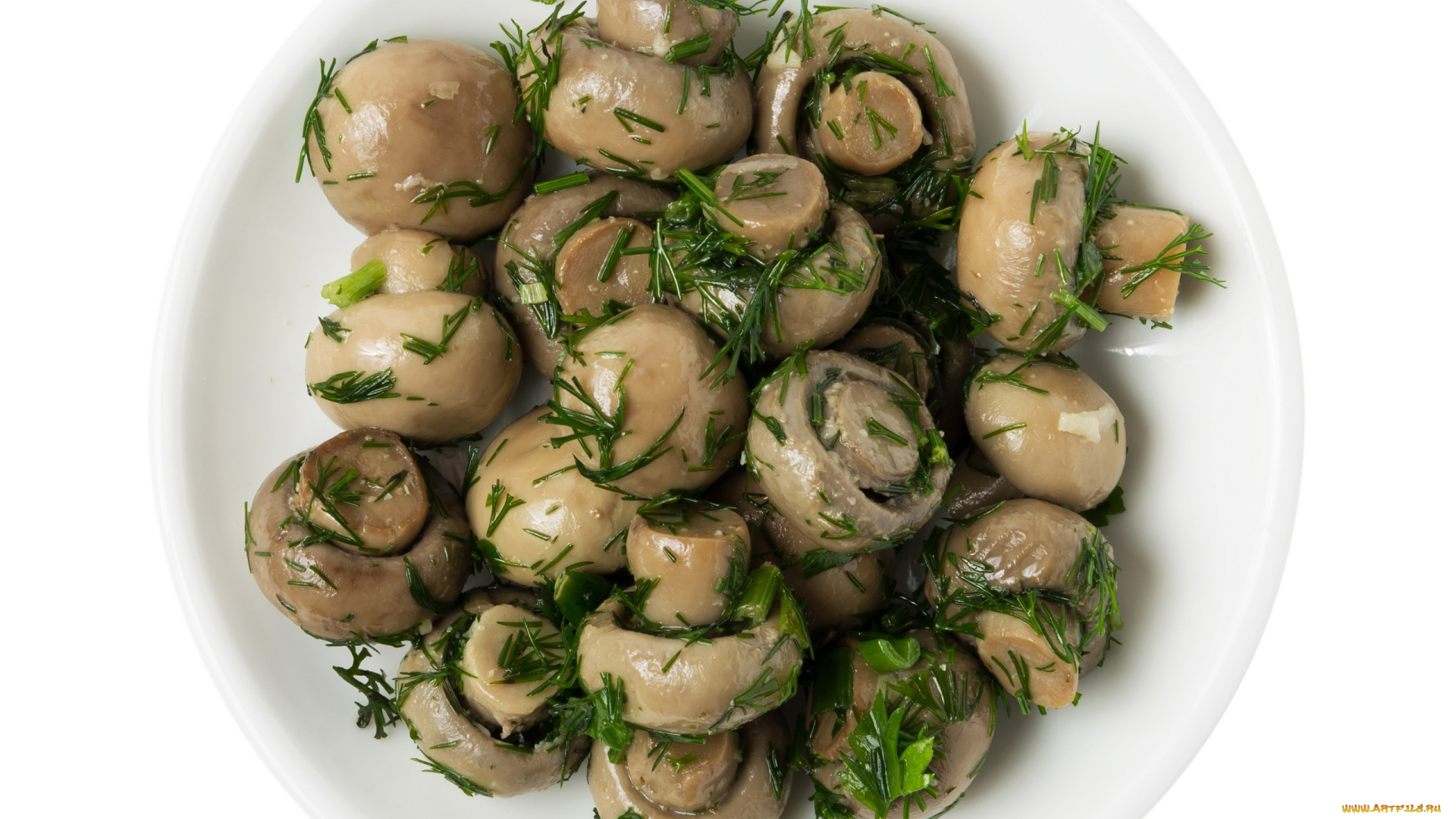 еда, грибы, , грибные, блюда, маринованные, шампиньоны, укроп