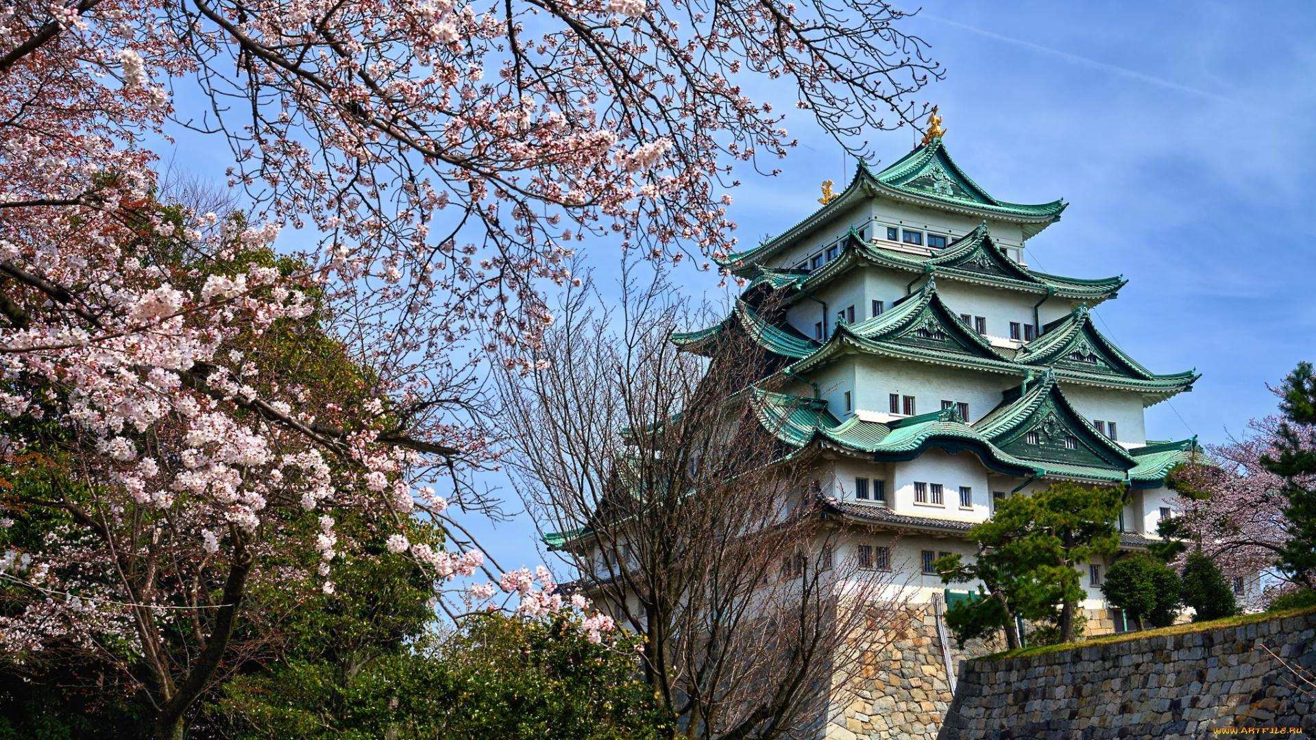 города, замки, японии, замок