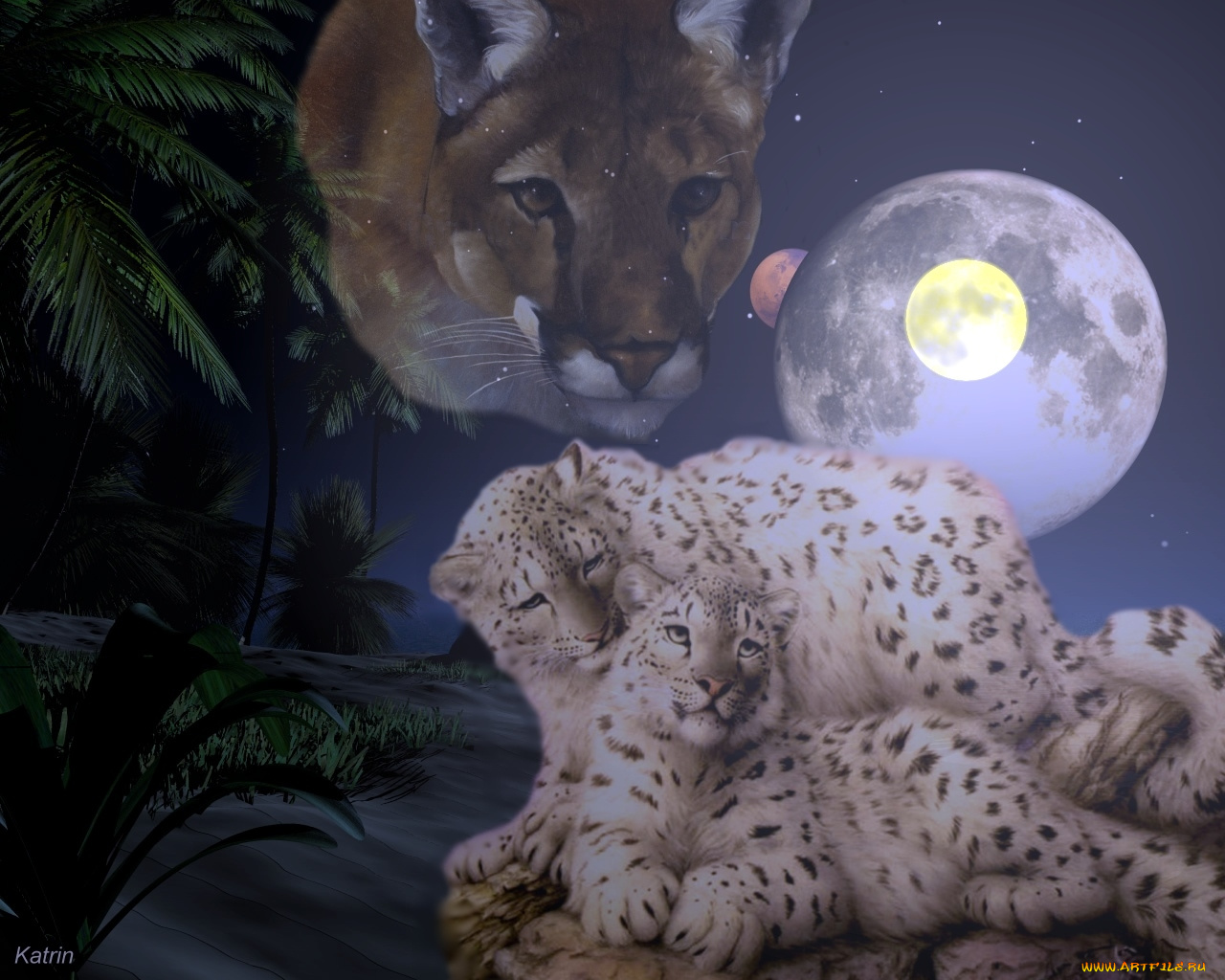 рисованные, животные, барс, пума