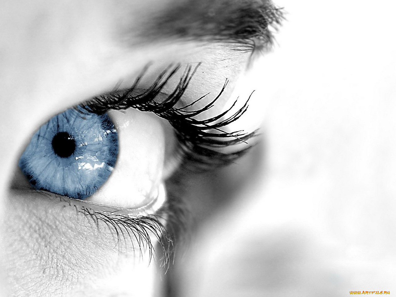 разное, глаза