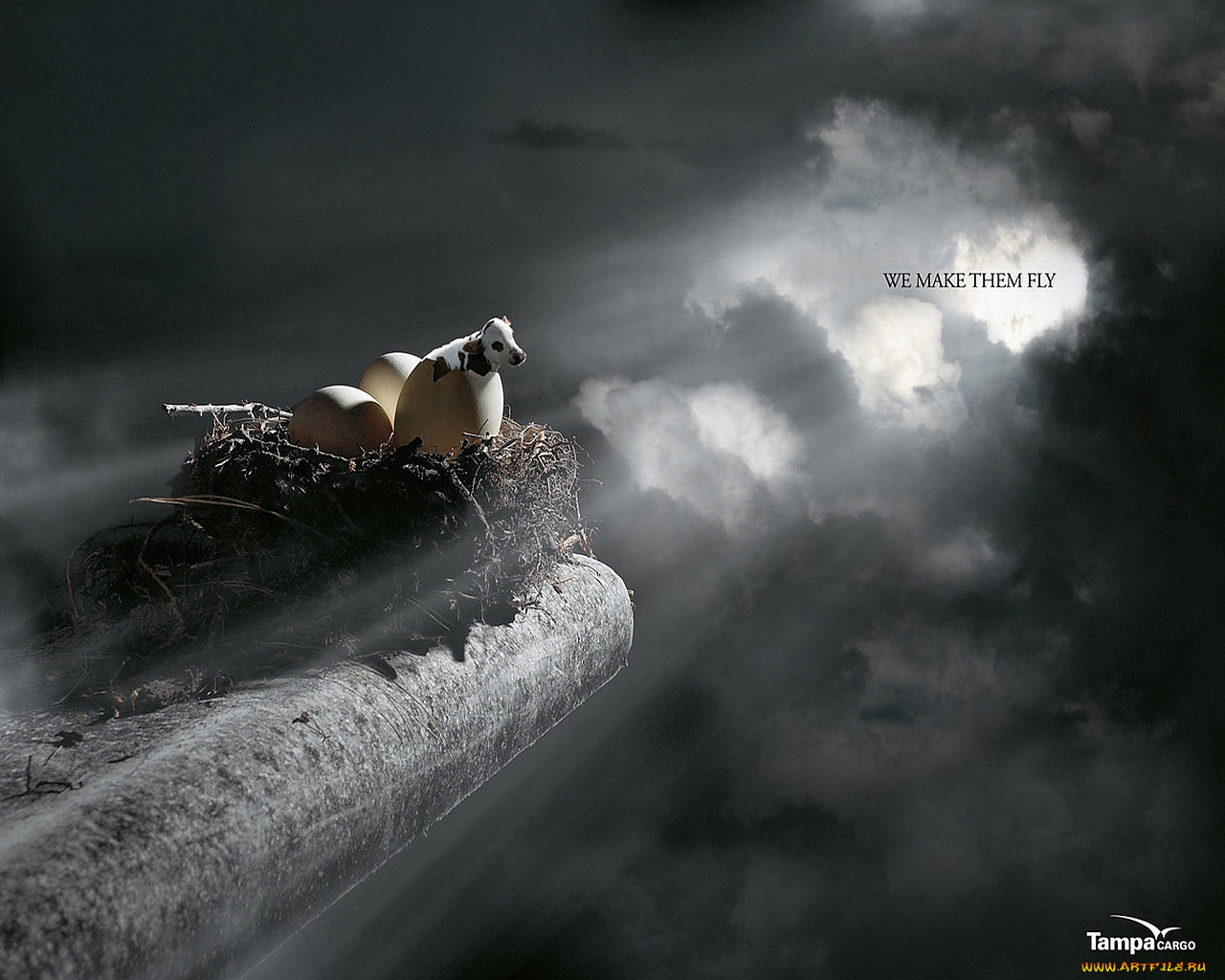 бренды, другое