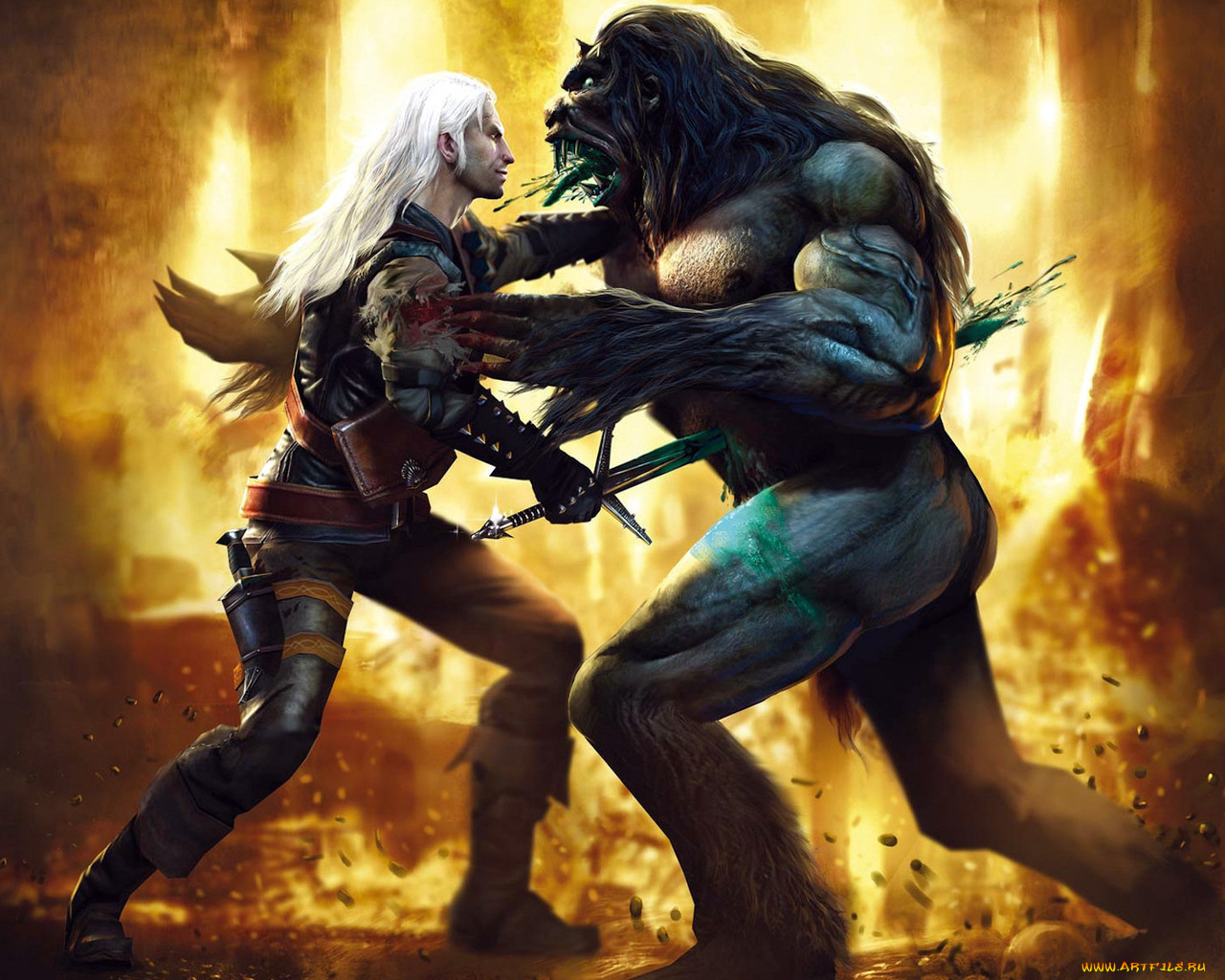 the, witcher, видео, игры