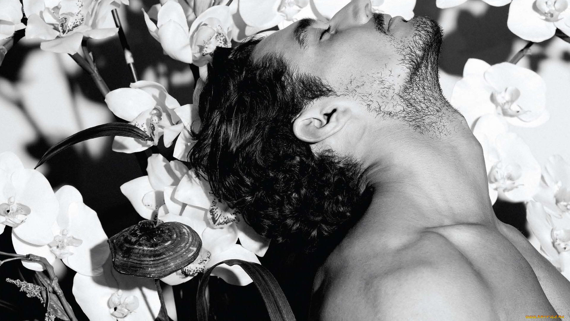 david, gandy, мужчины