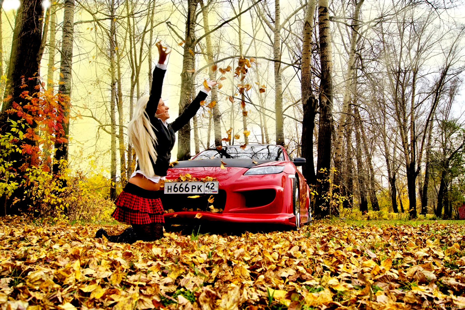 автомобили, авто, девушками