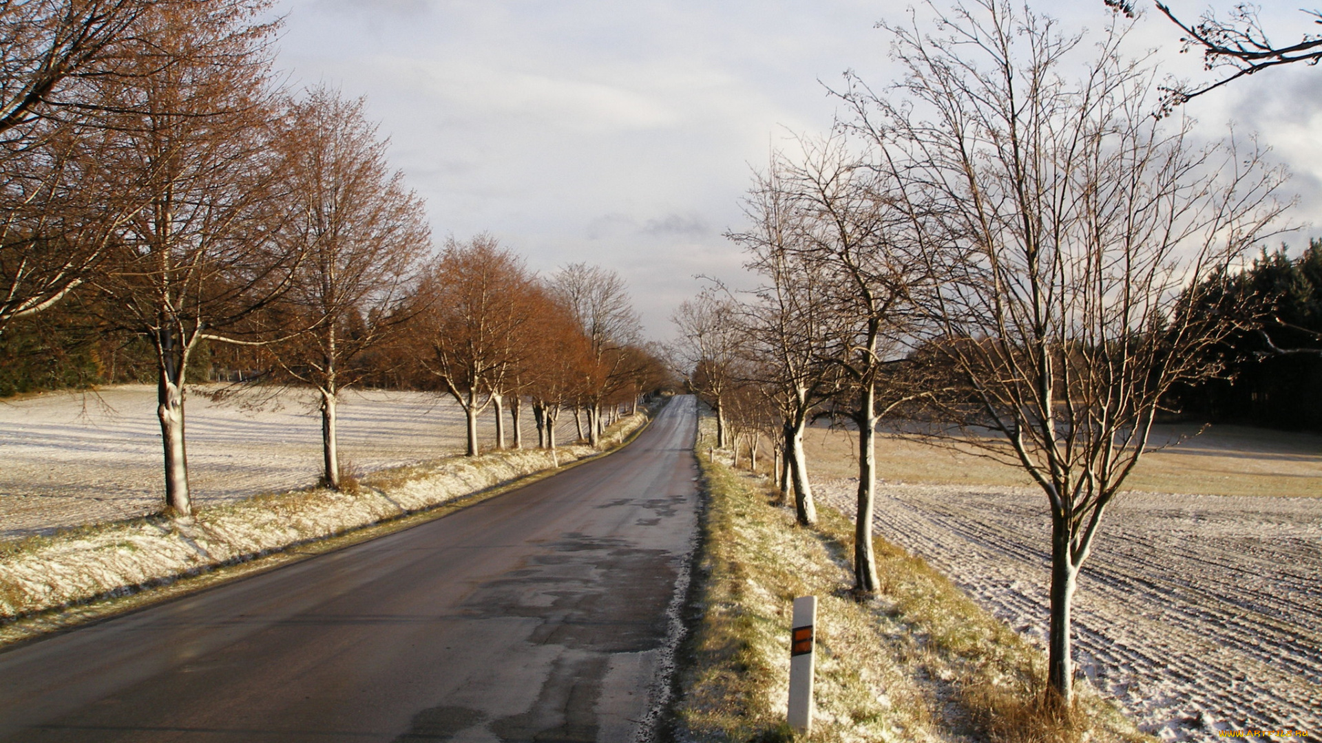 природа, дороги, дорога, деревья, снег