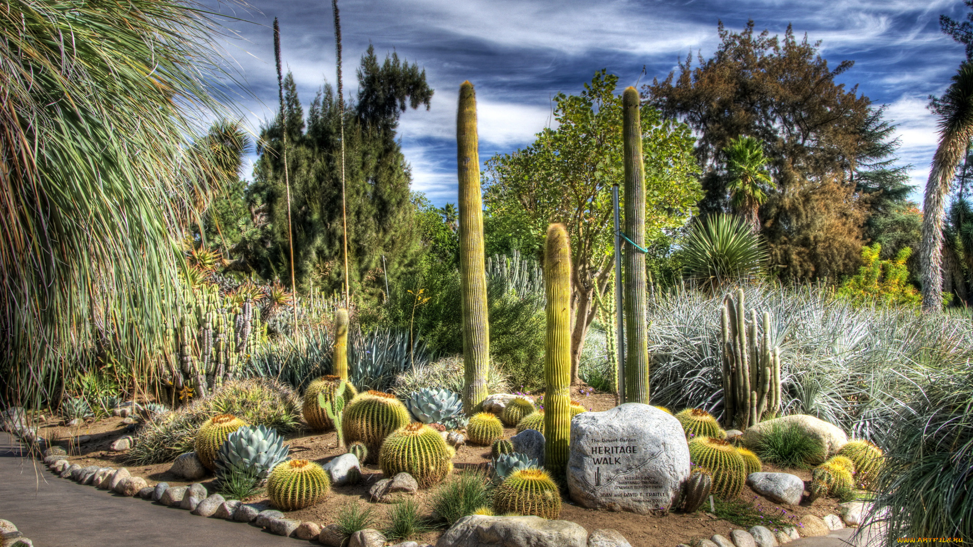 природа, парк, huntington, san, marino, california, usa