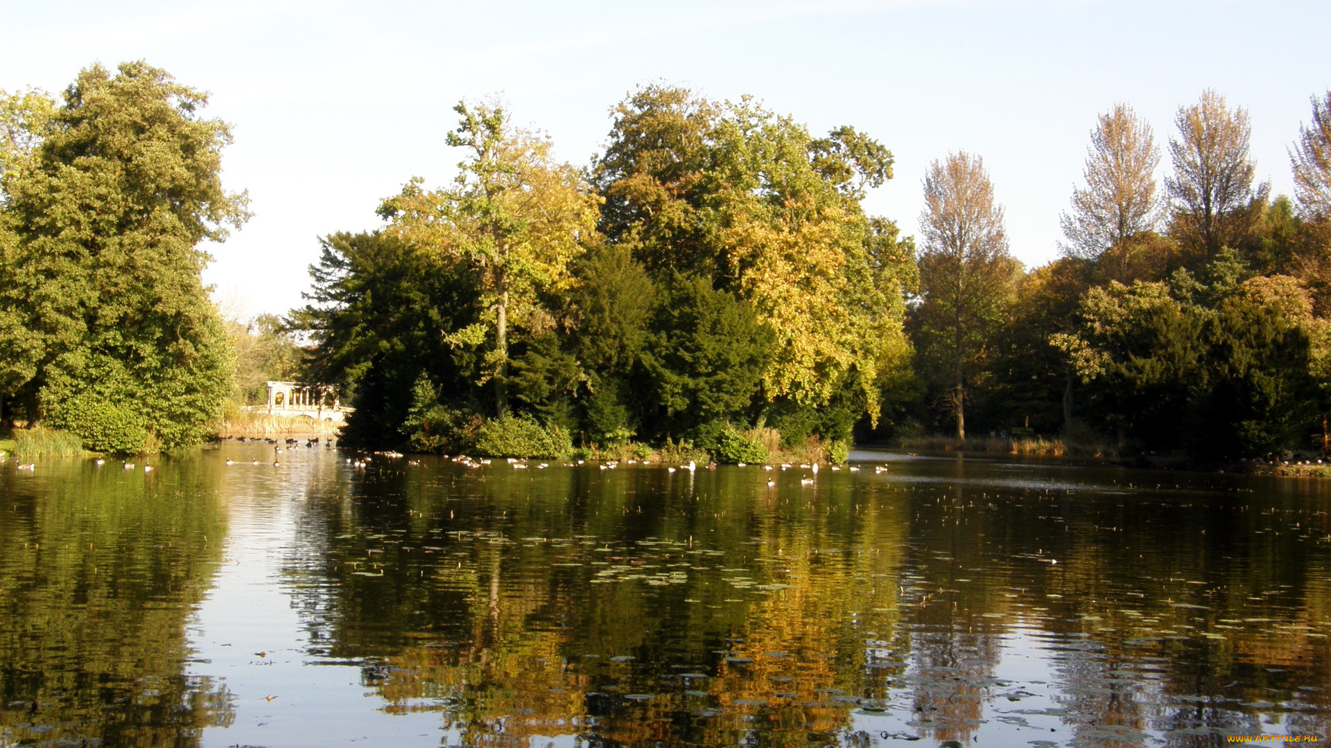 природа, парк, stowe, park, великобритания