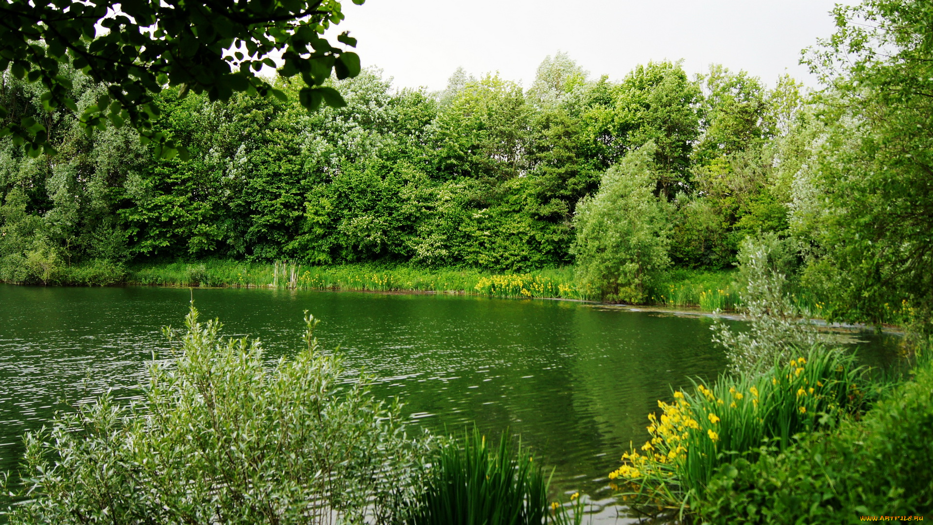 природа, реки, озера, германия, бавария, река, изар