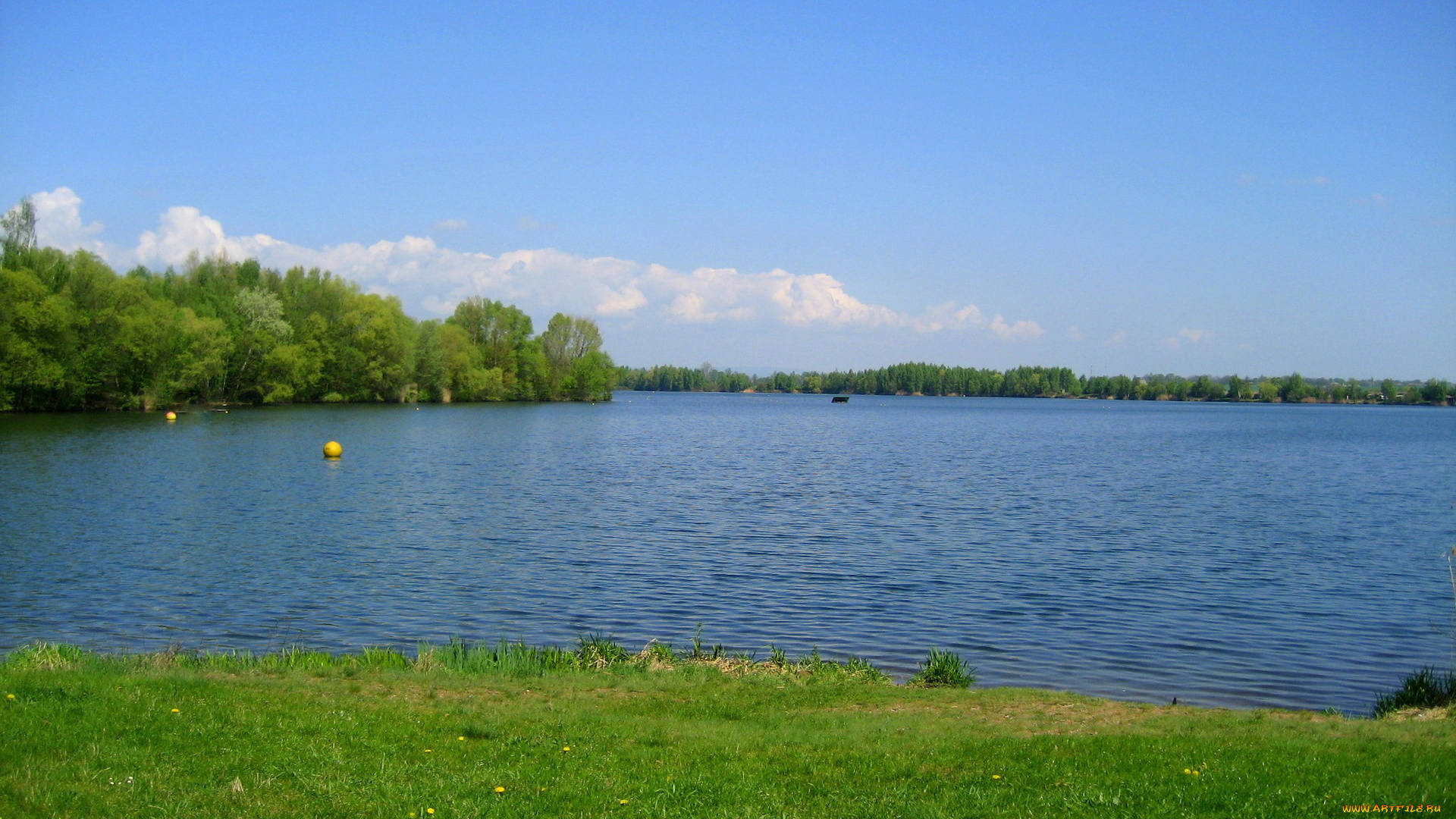 природа, реки, озера, река, трава, лето