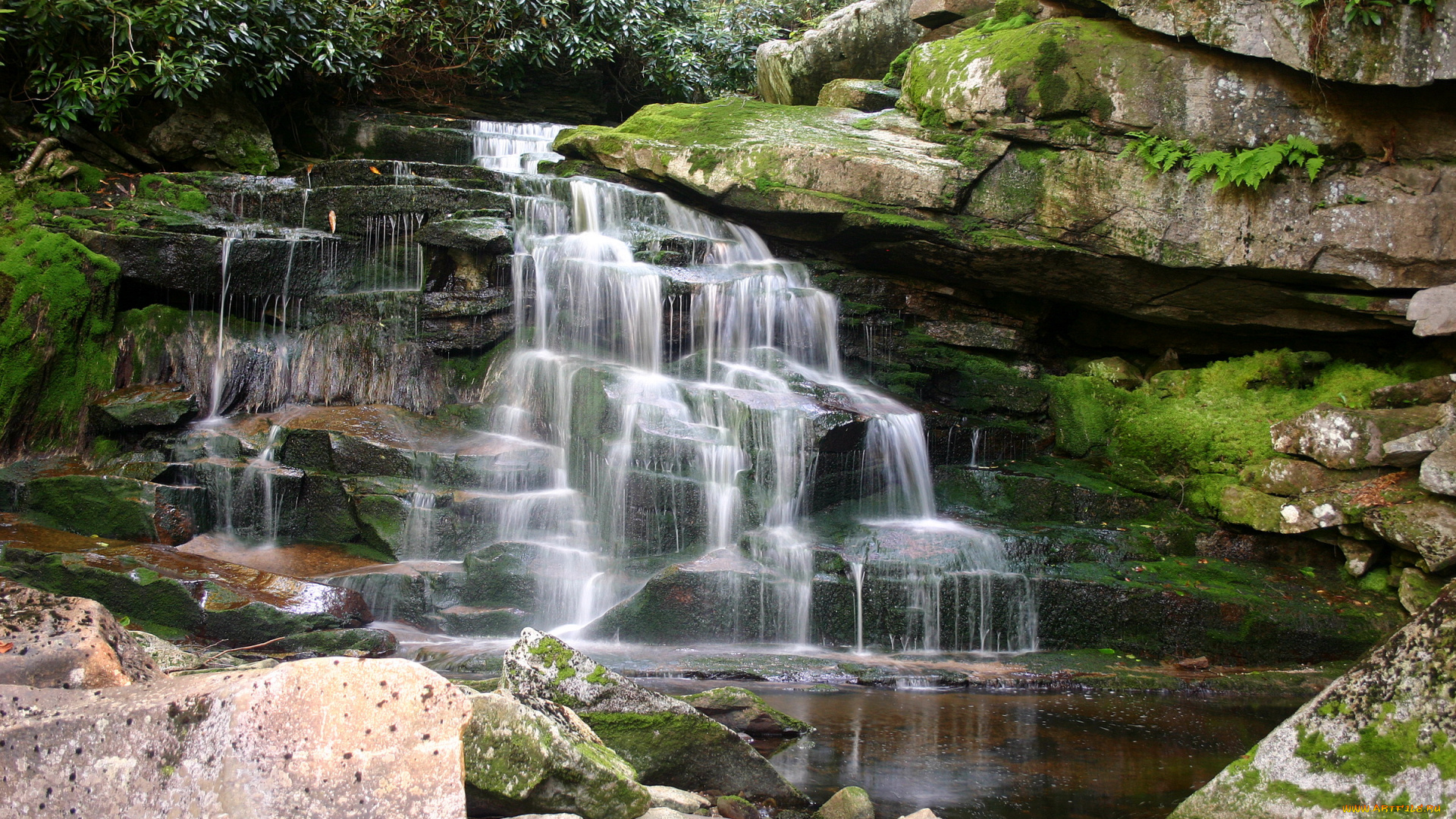 природа, водопады, elakala, falls, blackwater, canyon, in, west, virginia