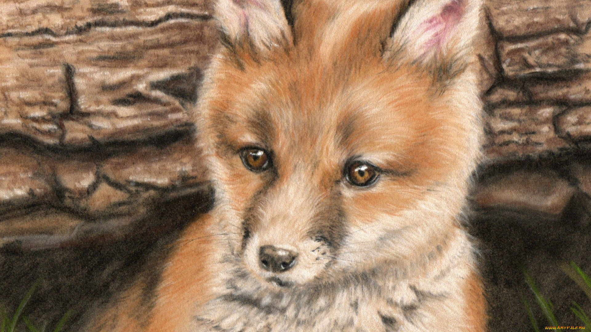 рисованные, животные, лисы, лисенок