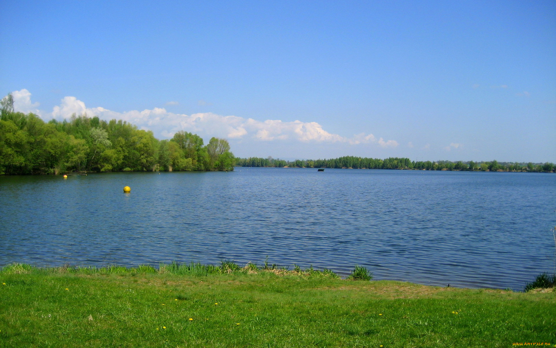 природа, реки, озера, река, трава, лето