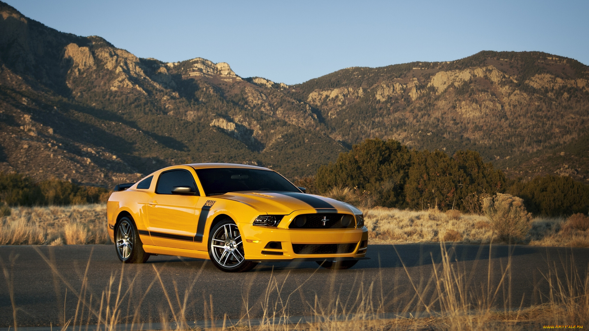 2013, ford, mustang, boss, 302, laguna, автомобили, дорога, горы