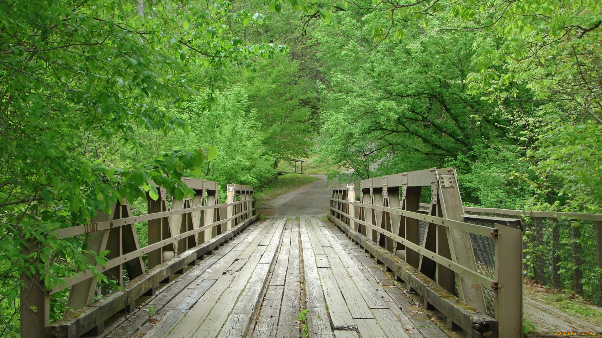 природа, дороги, пейзаж, деревья, мост, дорога