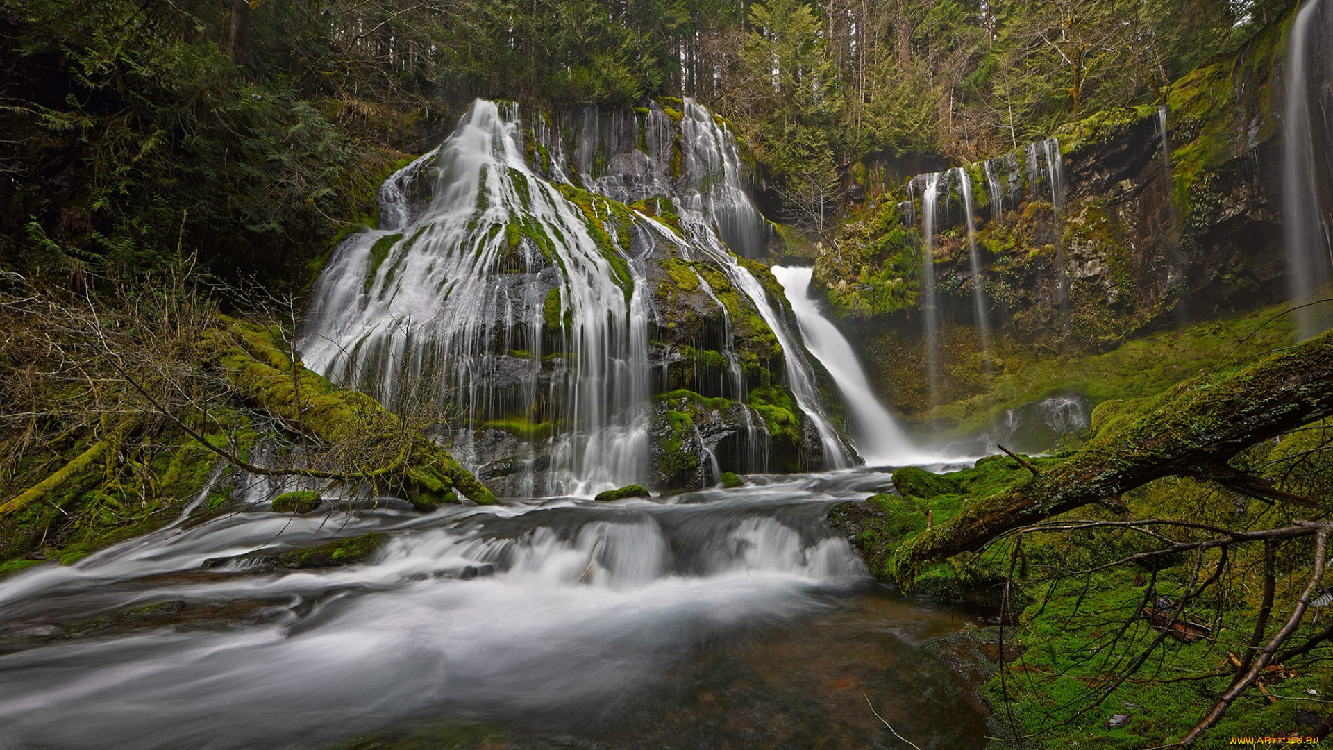 природа, водопады, пейзаж, лес, водопад, река, мох