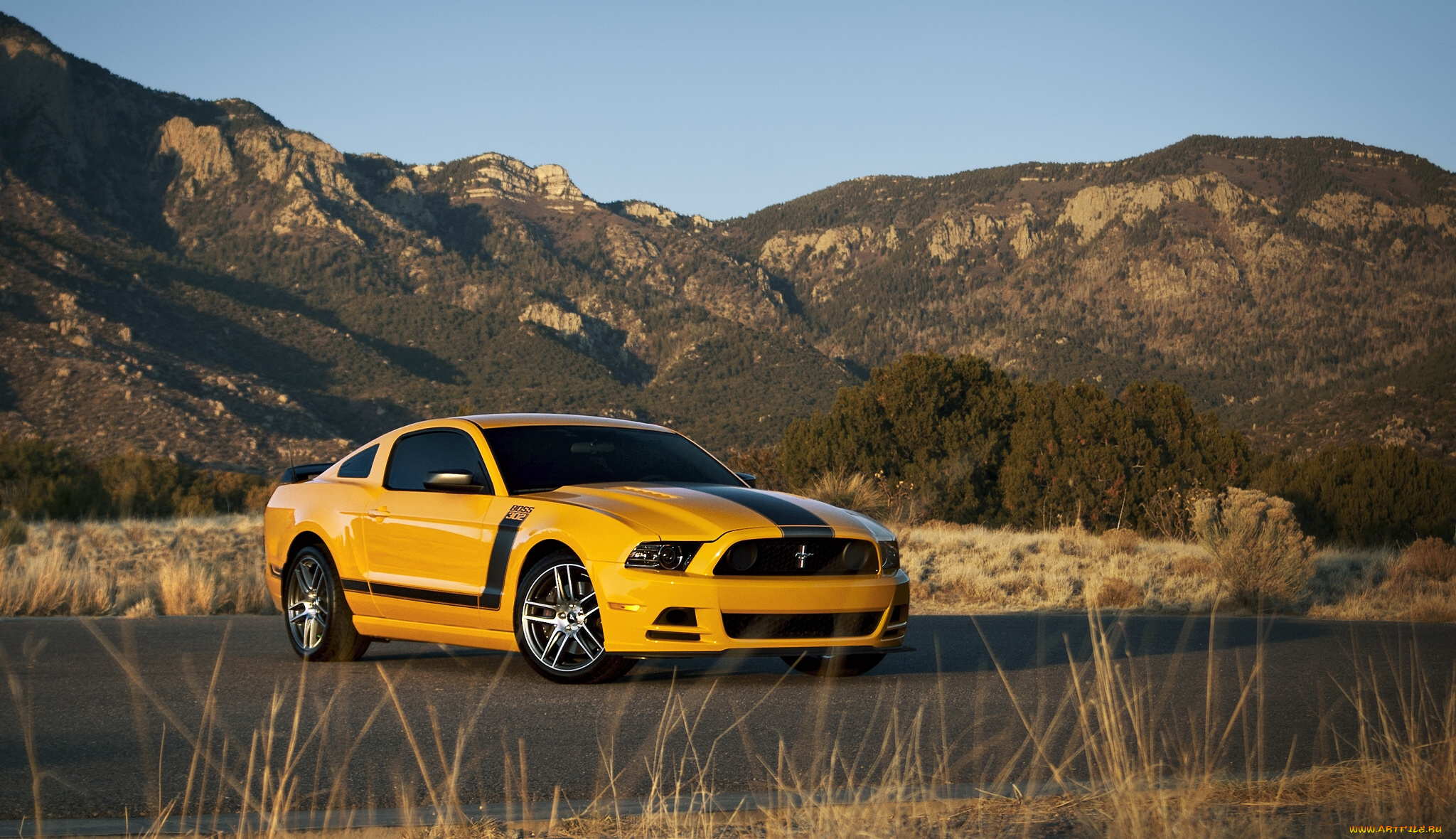 2013, ford, mustang, boss, 302, laguna, автомобили, дорога, горы