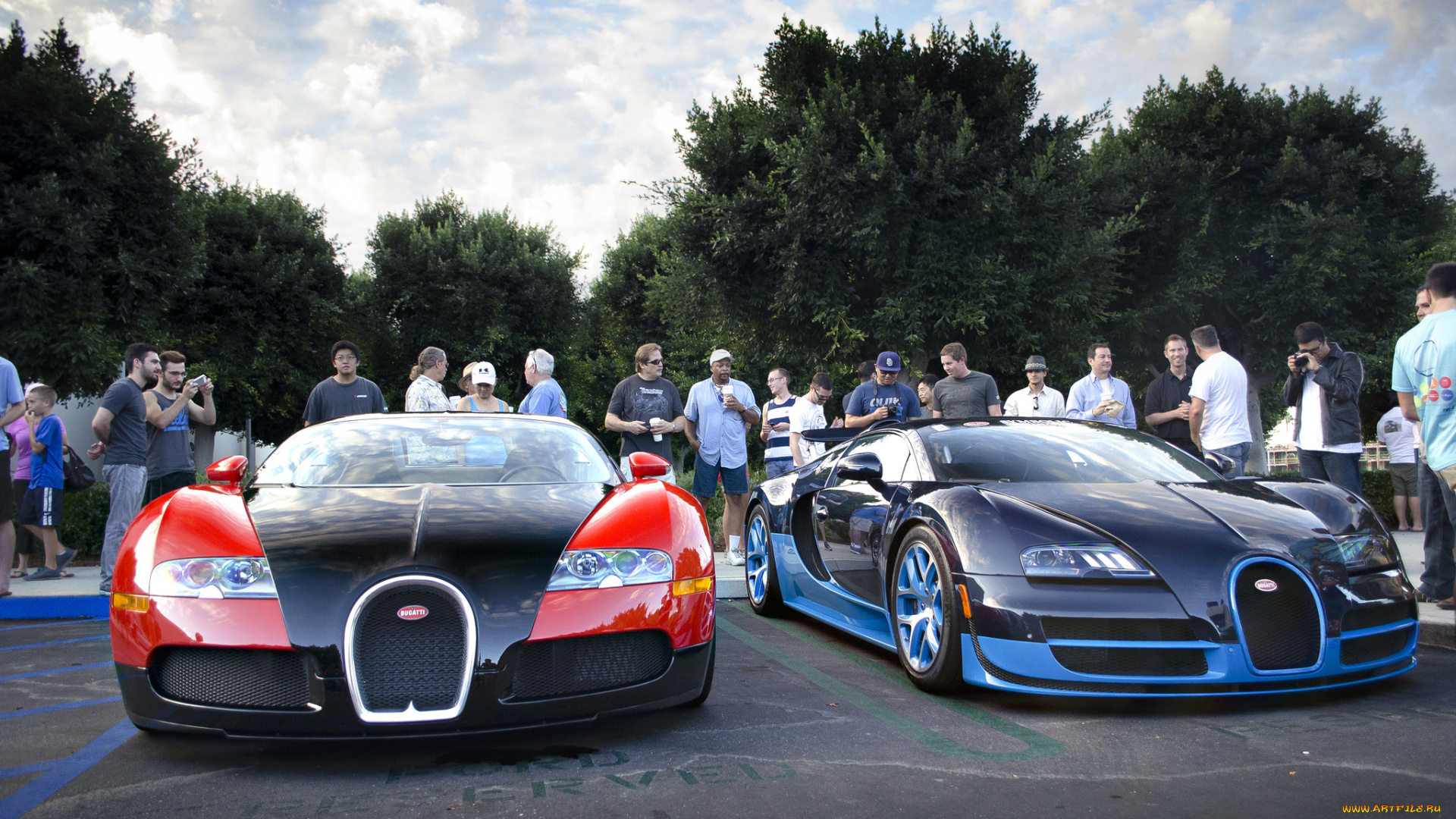 bugatti, veyron, vs, bugatti, veyron, vitesse, автомобили, выставки, и, уличные, фото, франция, automobiles, bugatti, класс-люкс, спортивные, a, s