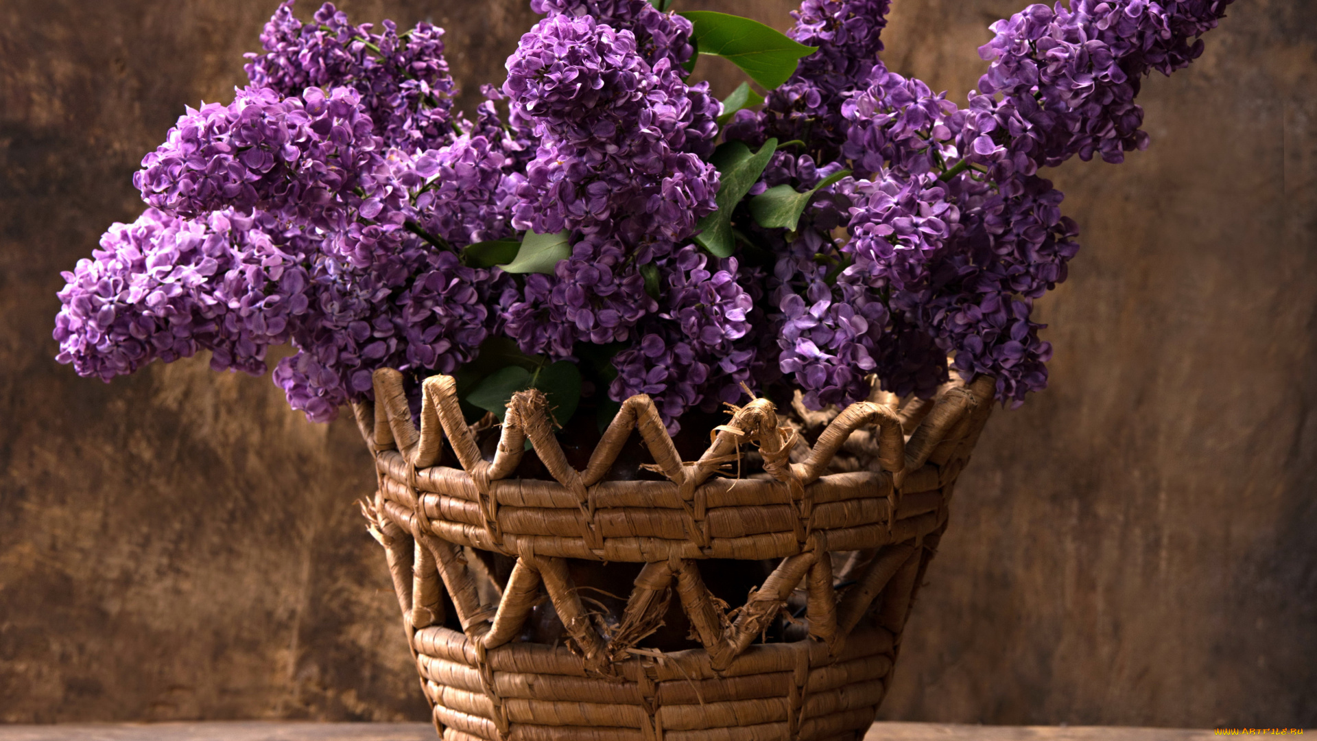 цветы, сирень, корзина