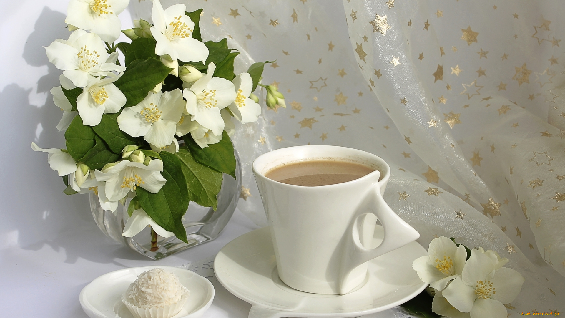 еда, кофе, , кофейные, зёрна, жасмин, конфета