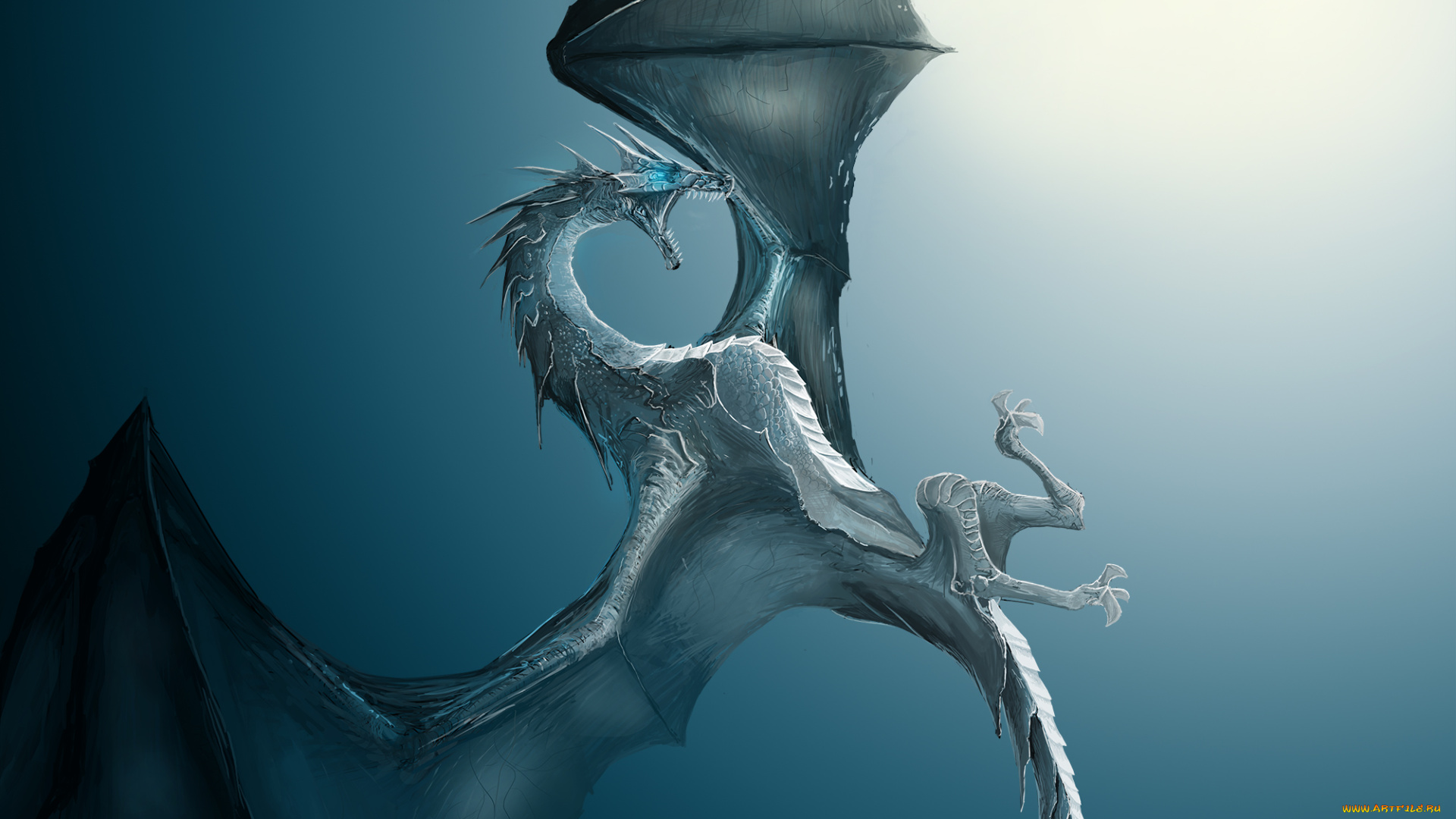 фэнтези, драконы, крылья