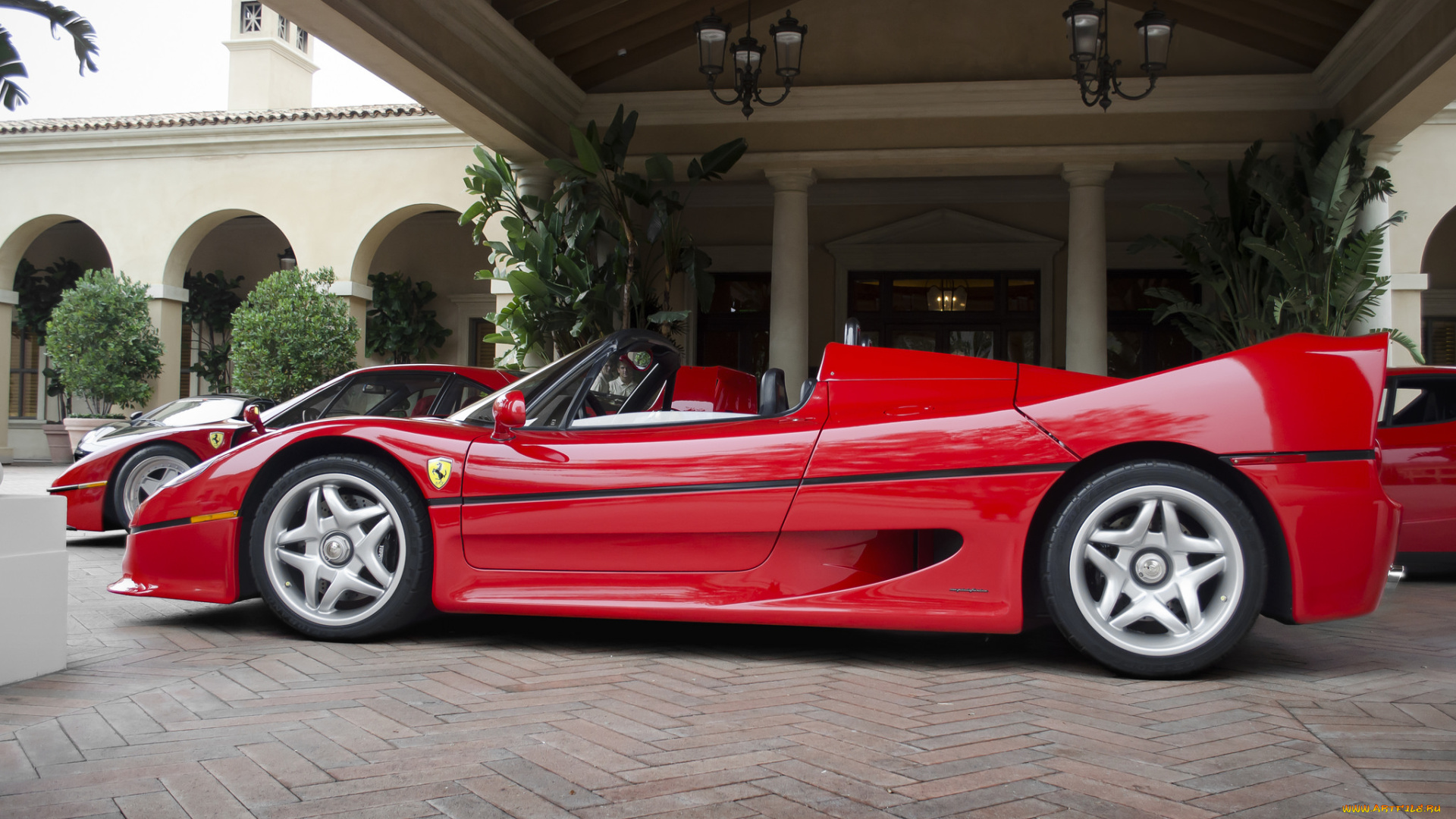 ferrari, f50, автомобили, ferrari, италия, спортивные, гоночные, s, p, a