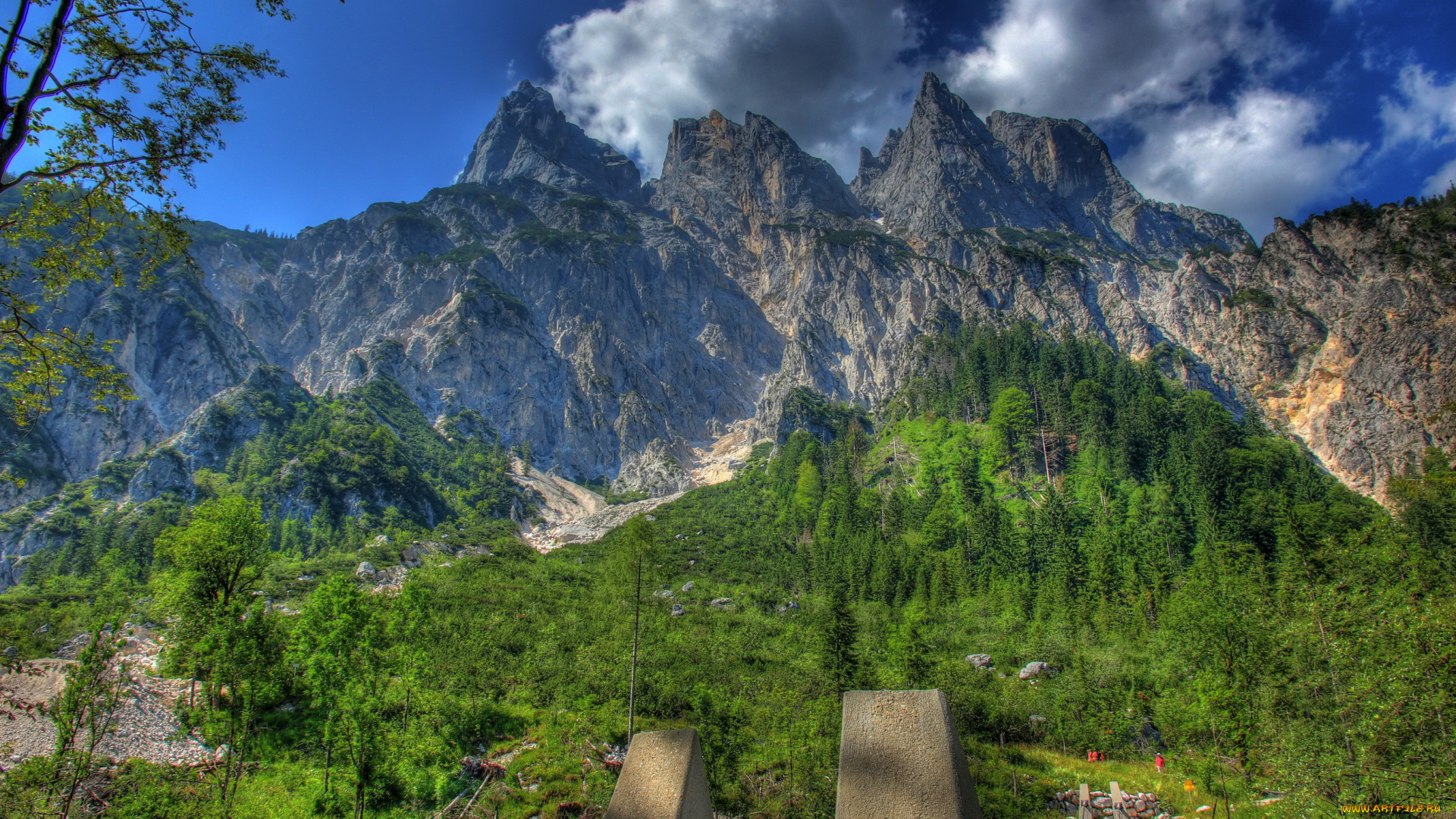 германия, бавария, рамзау, природа, горы, лес, рамзау, бавария, германия