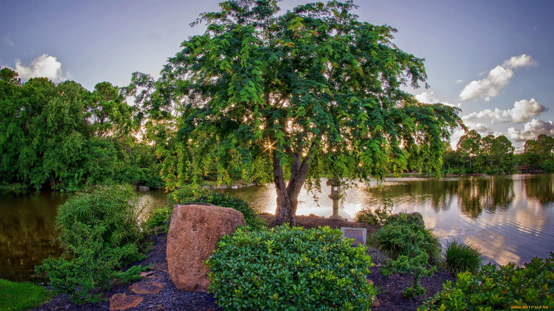 майями, природа, парк, miami, garden, пруд, деревья, japanese, morikami, кусты, сад