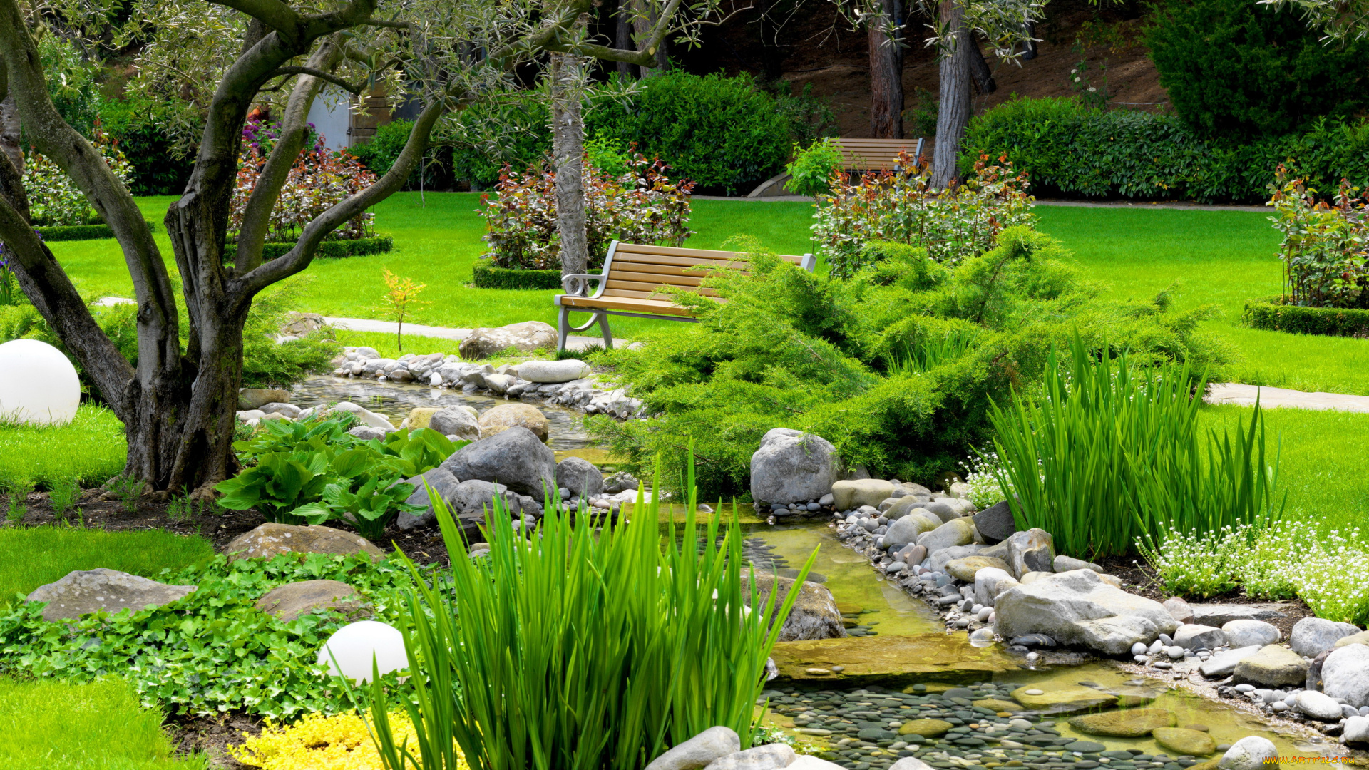 природа, парк, цветы, ручей, кусты