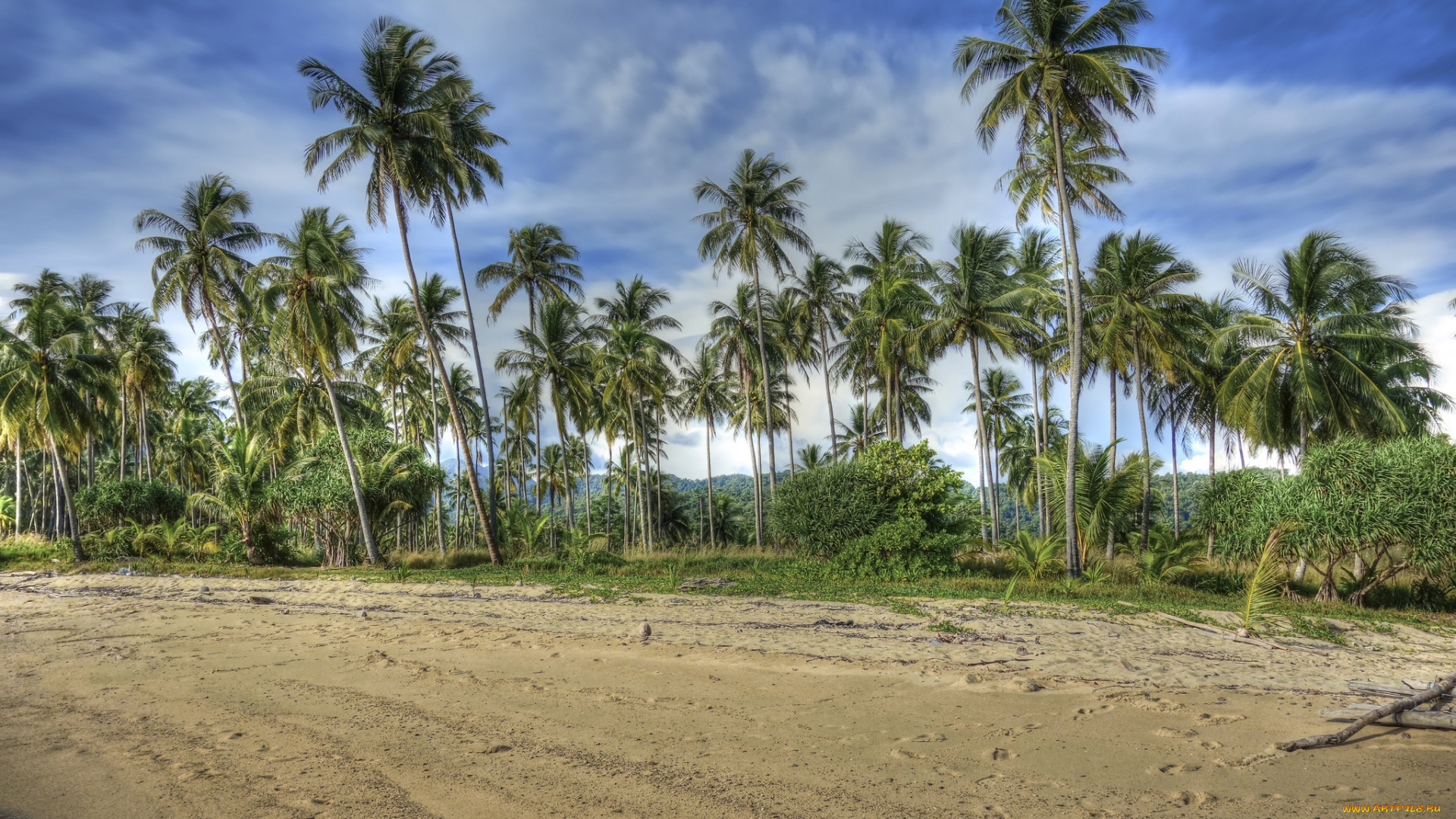 природа, тропики, облака, пальмы, пляж