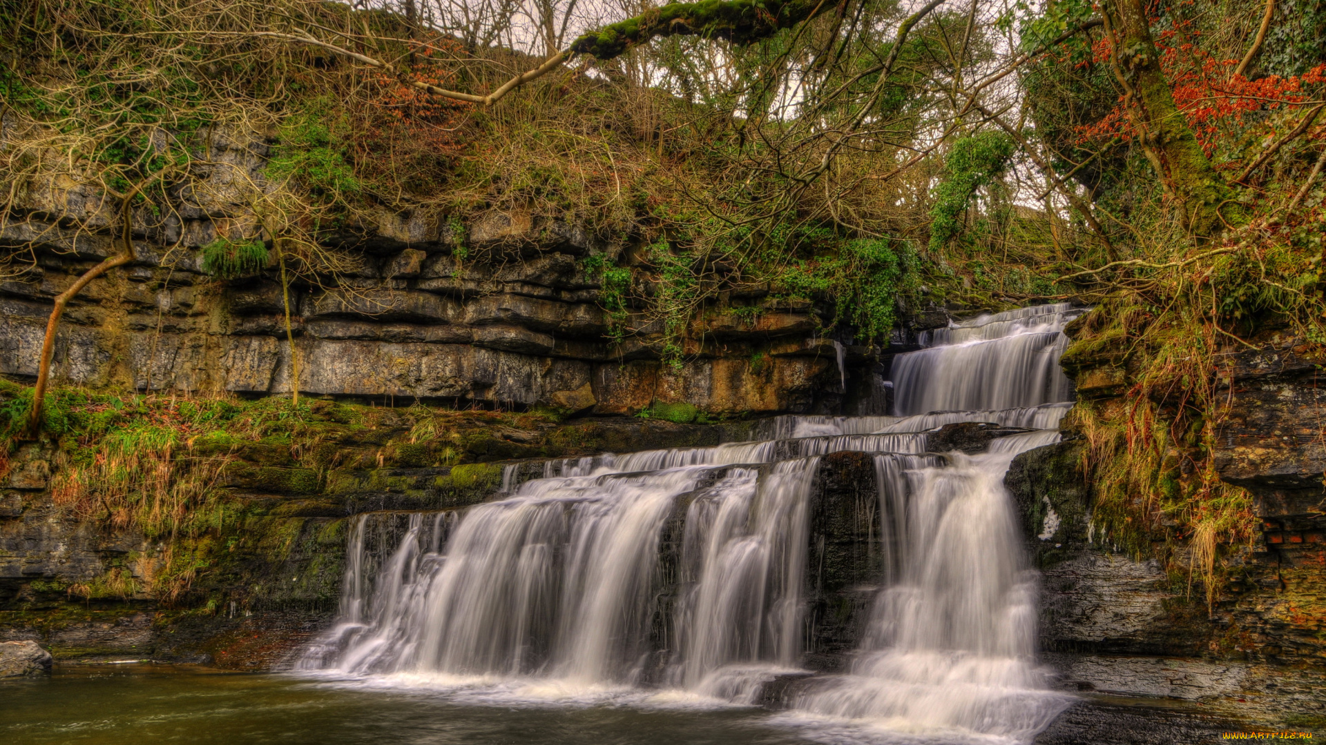 природа, водопады, водопад, англия, река, лес
