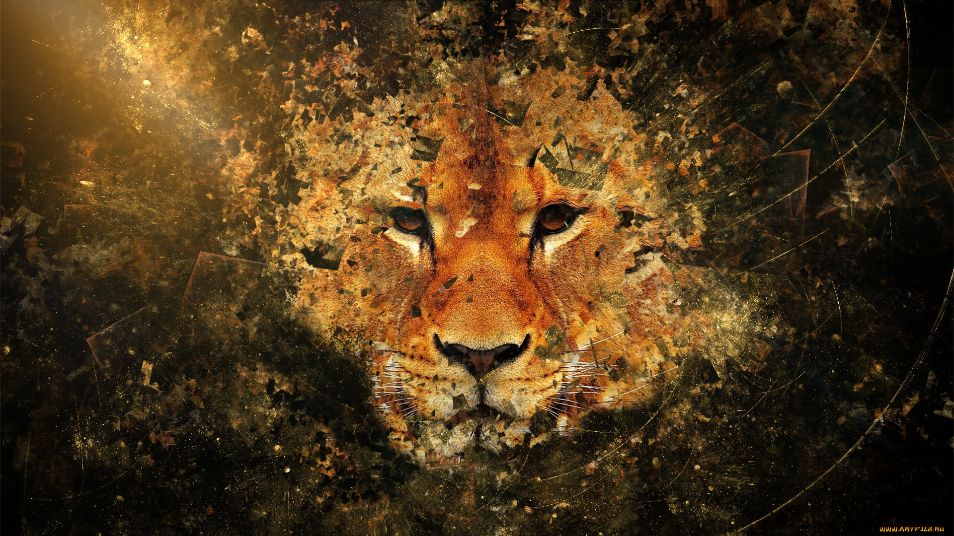 разное, компьютерный, дизайн, морда